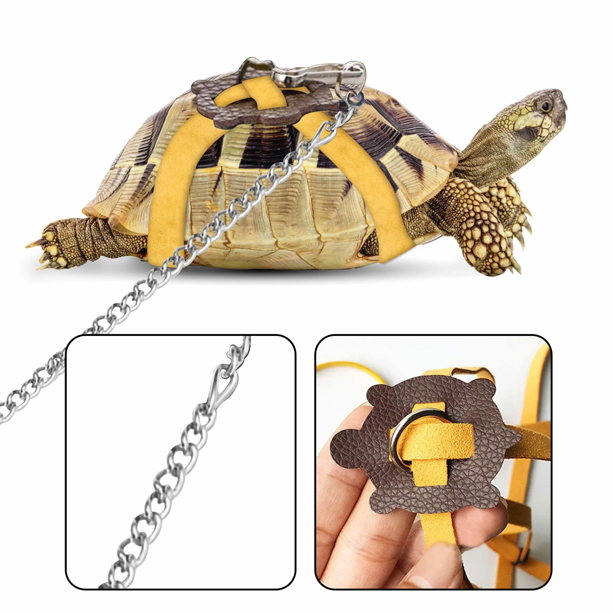Harnais en Cuir pour Petite Tortue avec Laisse Réglable Noir M