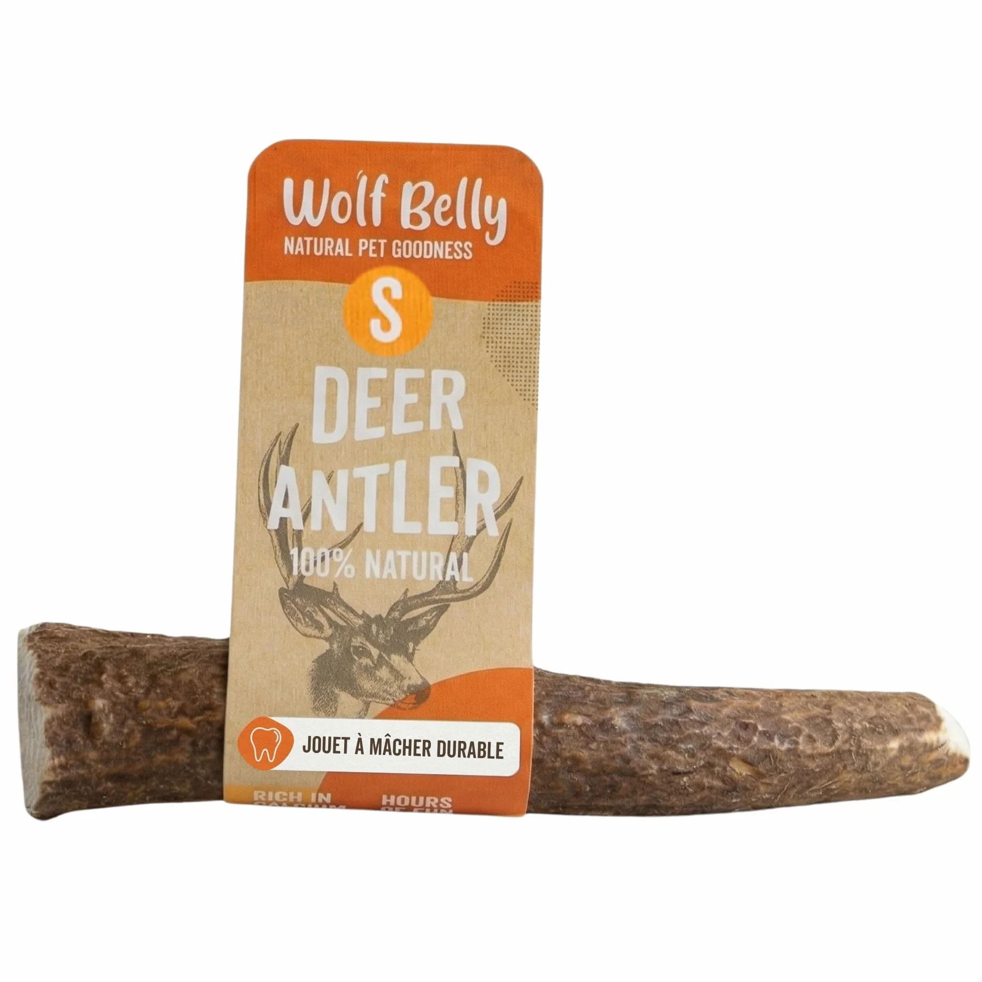 Bois de Cerf pour Chiens 100% Naturel Taille S Corne Durable Résistante Réduit Tartre Plaque Riche Calcium Protéines Inodore Fabriqué Europe
