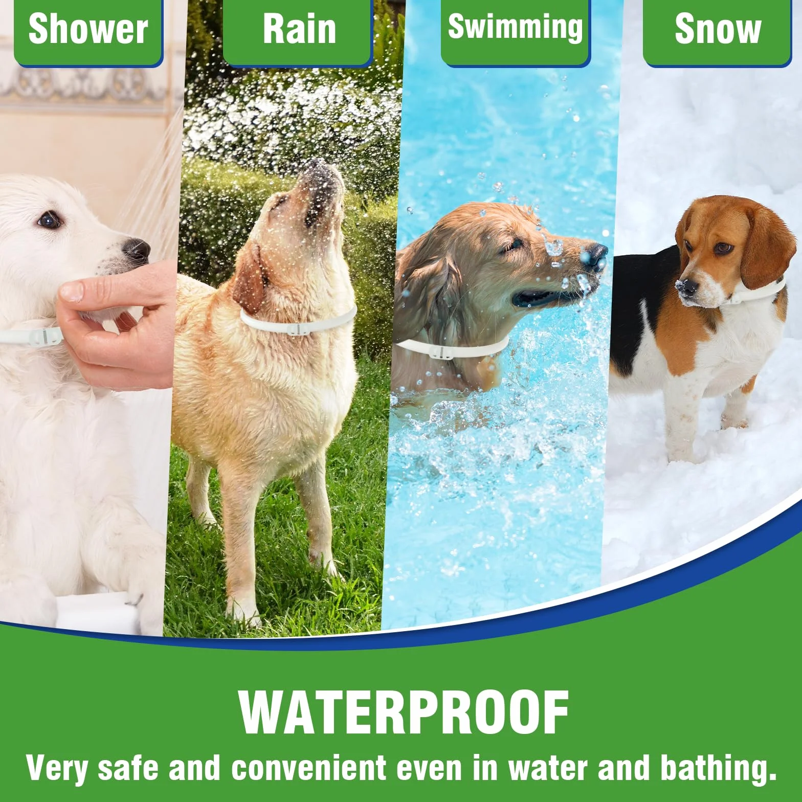 Collier Anti Puces pour Chien, Collier Réglable Résistant à l'eau, 12 Mois Protection (2 Pack)
