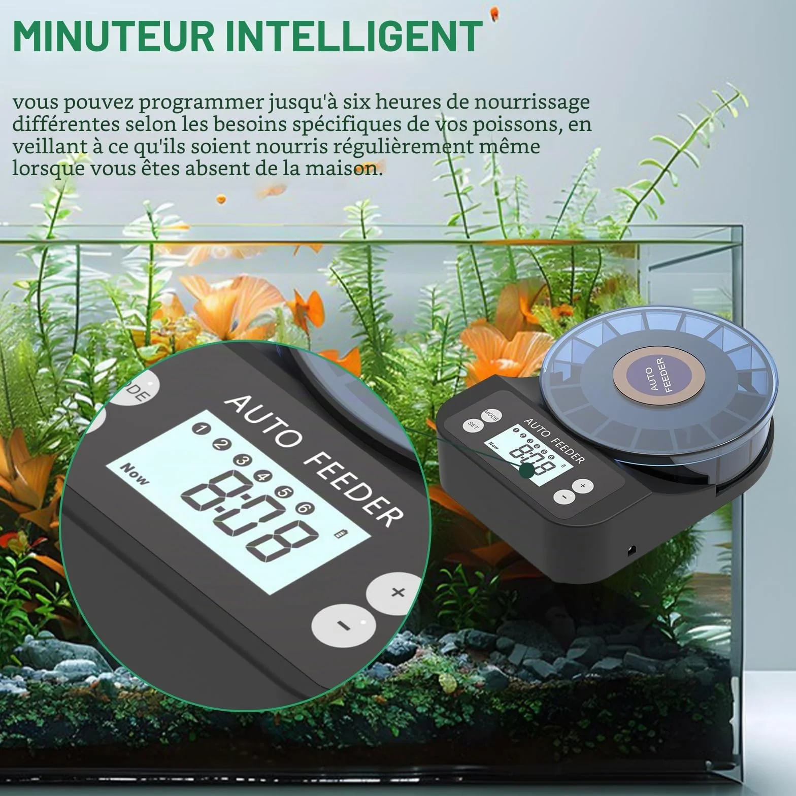 Mangeoire Automatique pour Poissons d'Aquarium 60 ML avec Minuterie, Rechargeable USB, Écran LCD