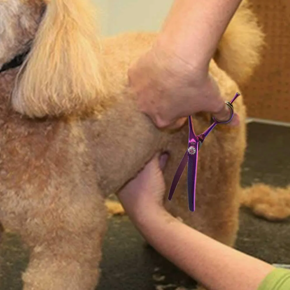 Ciseaux Sculpteurs Effileurs Professionnels Pour Chien Chats Poils Long Épais Bague Ciseaux Toilettage Bout Rond Sécurité Inox Incurvé Courbé Ciseaux Poils Animaux Débutant Luxe 7 Pouces Violet