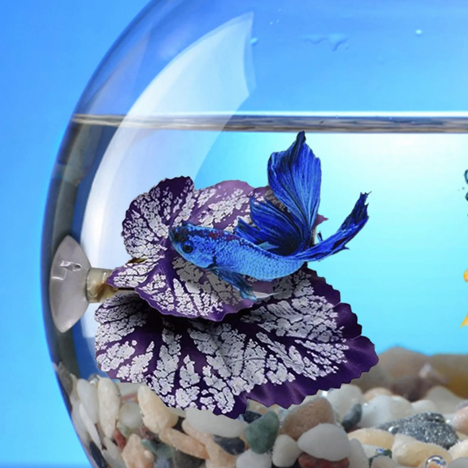 XIAOXIAOYU Feuille de Repos pour Poisson Betta, Coussinet de Feuilles Flexible et Sûr pour Aquarium