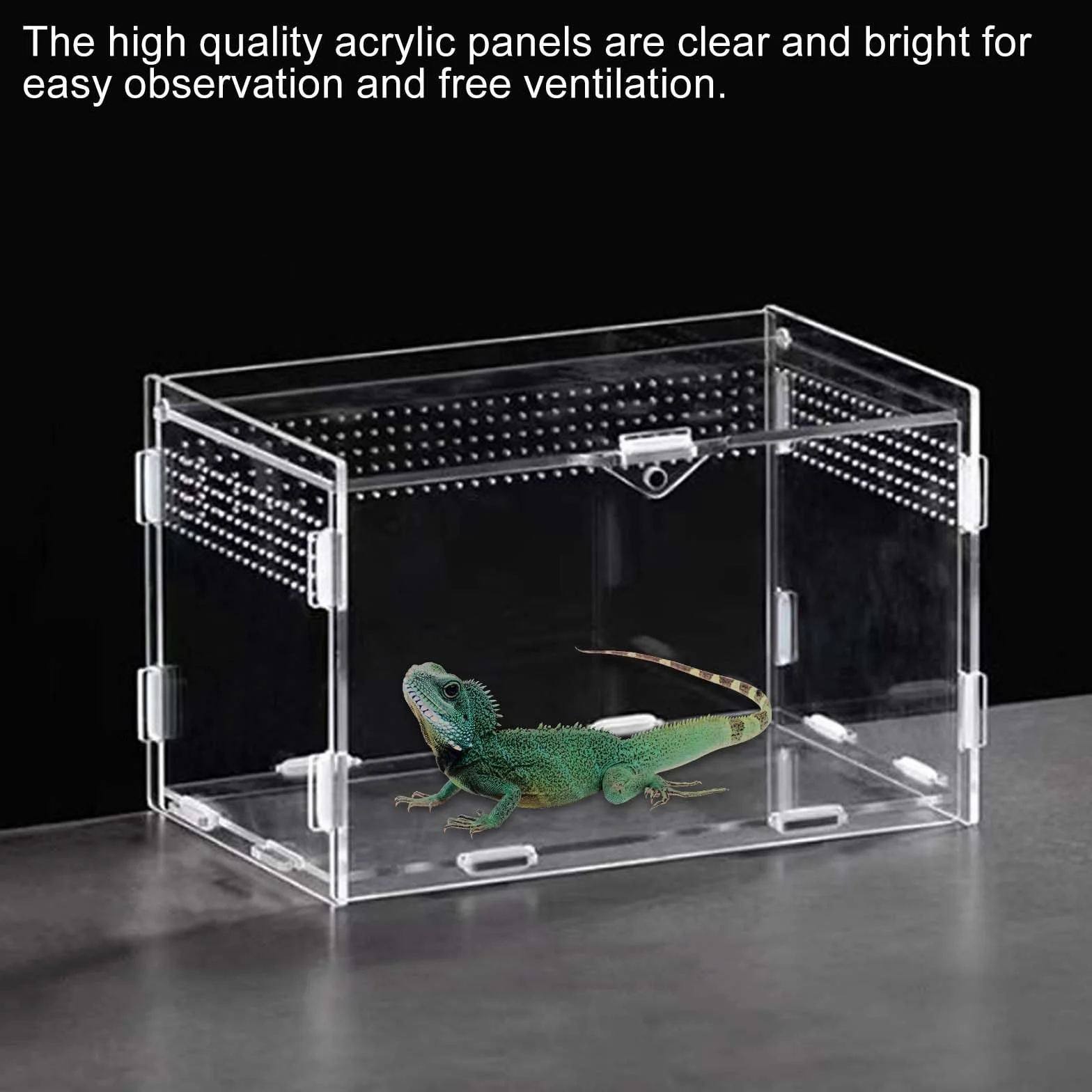 Boîte d'alimentation pour reptiles en acrylique 20x12x12 cm Mini terrarium transparent Avec tweezer en acier inoxydable