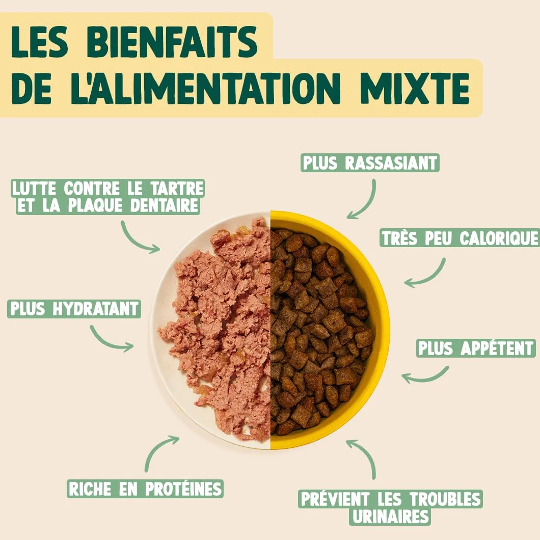 FRANKLIN Pâtées pour Chat sans Céréales 66% Viande Dinde Camomille Nourriture Humide Boite 12x100g