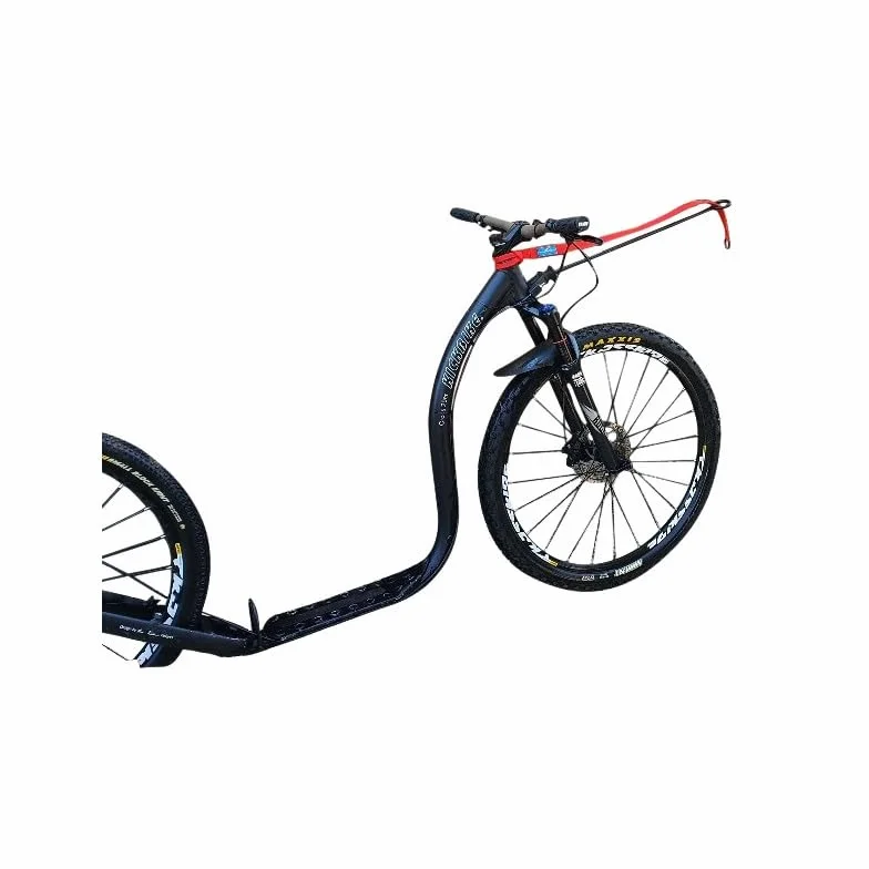 Inlandsis Bikejor Extension