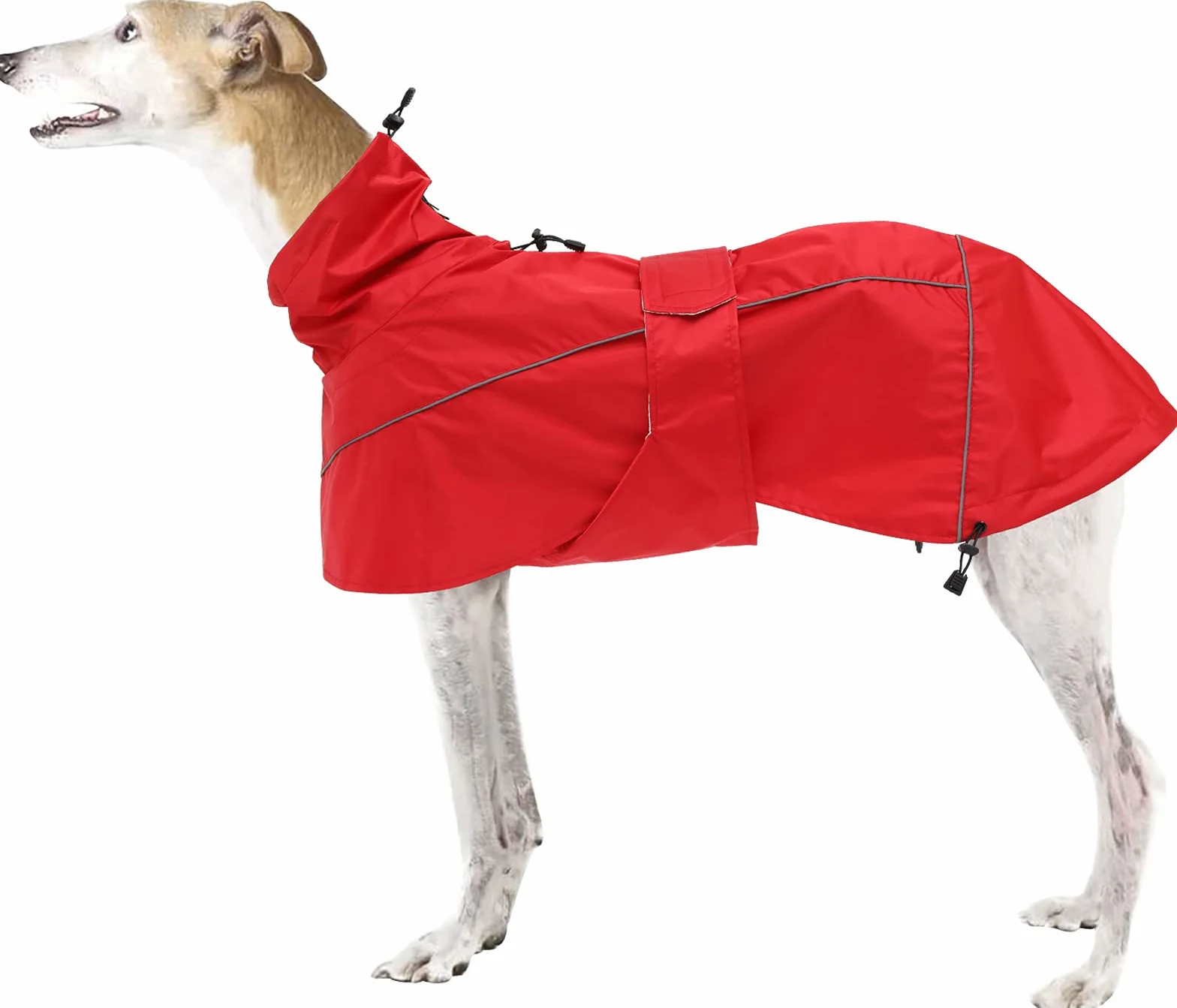 Manteau de Pluie MOREZI Greyhound, imperméable/imperméable, avec Cordon de Serrage réglable et Ceinture pour protéger l'abdomen, adapté aux Chiens de Taille Moyenne et Grande-Rouge-M