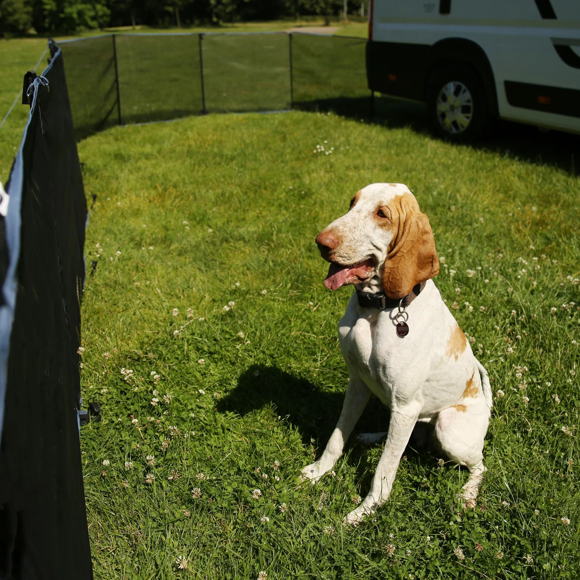 Clôture mobile pour chien 4 m maille textilène 90 cm extensible résistant intempéries kit complet poteaux