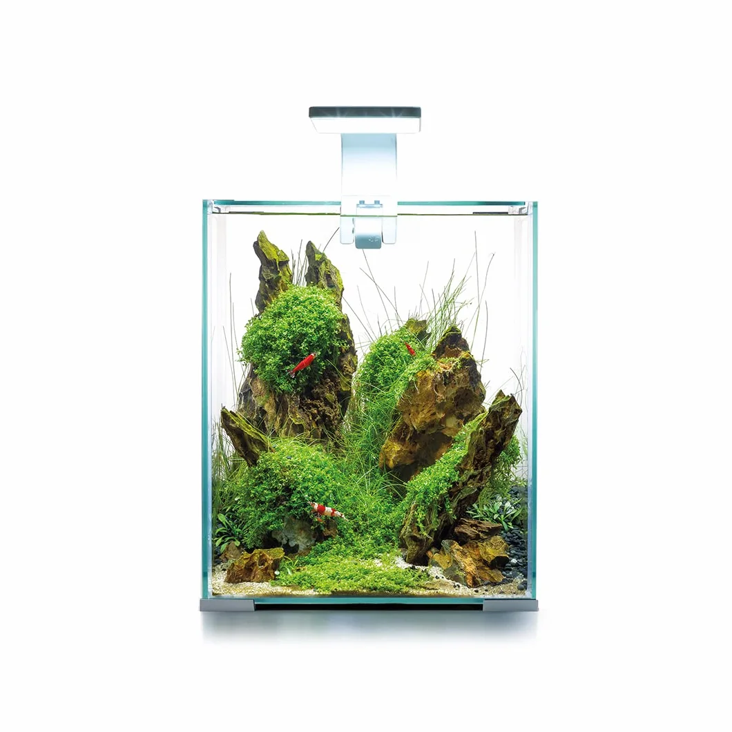 Shrimp Smart D&N 20 ECOM Set de Shrimp Blanc