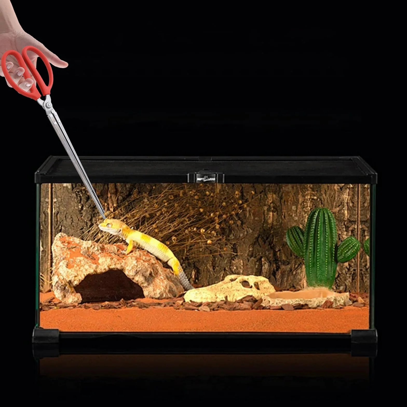 Pince à Serpent 38cm Pinces à Nourrir pour Serpents Extra Longues pour Reptiles Accessoires Terrariums