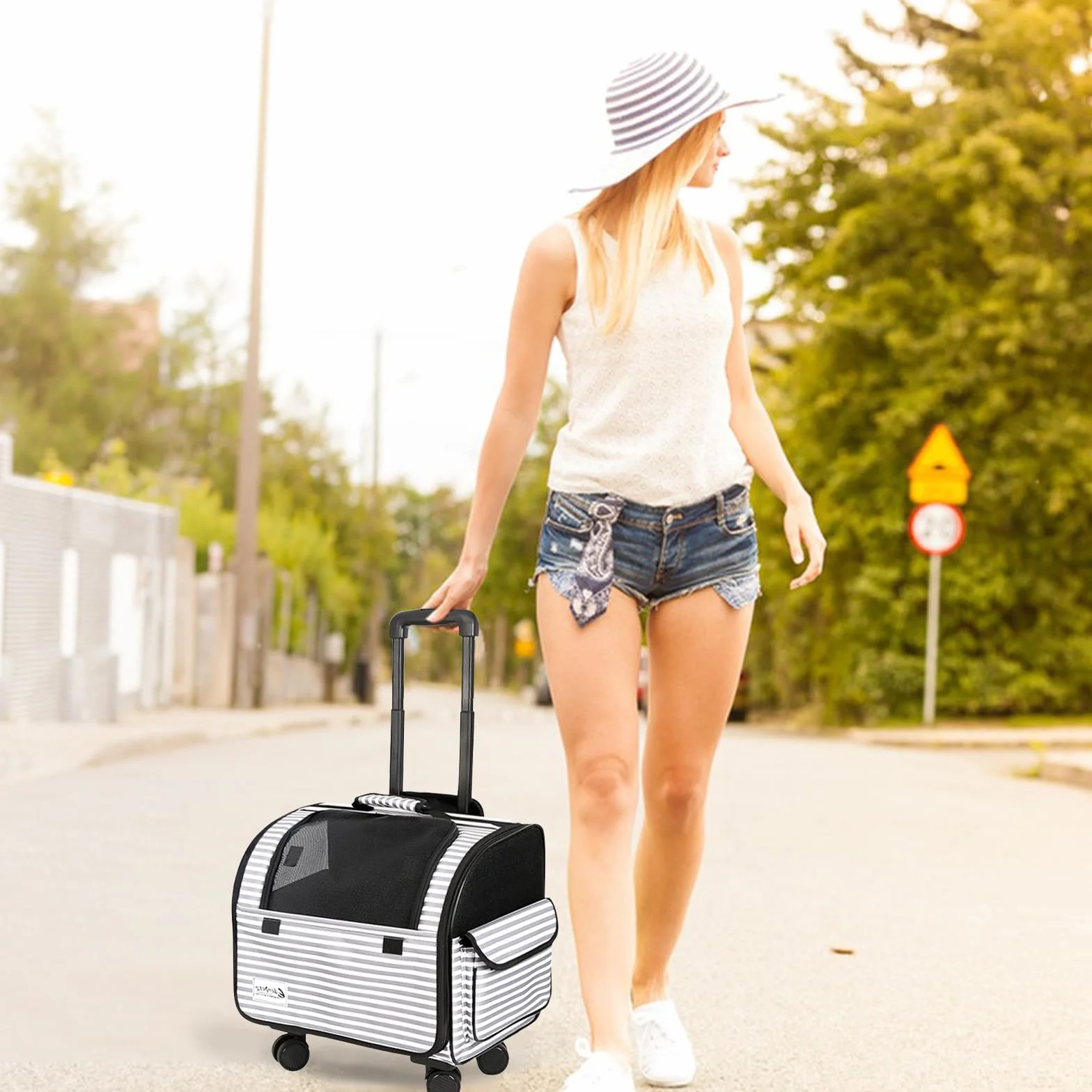 Galatée Sac de Transport pour Chien avec Roulettes Amovibles, Approuvé par les Compagnies Aériennes, Pliable pour Chat, Poussette pour Animaux (Blanc)