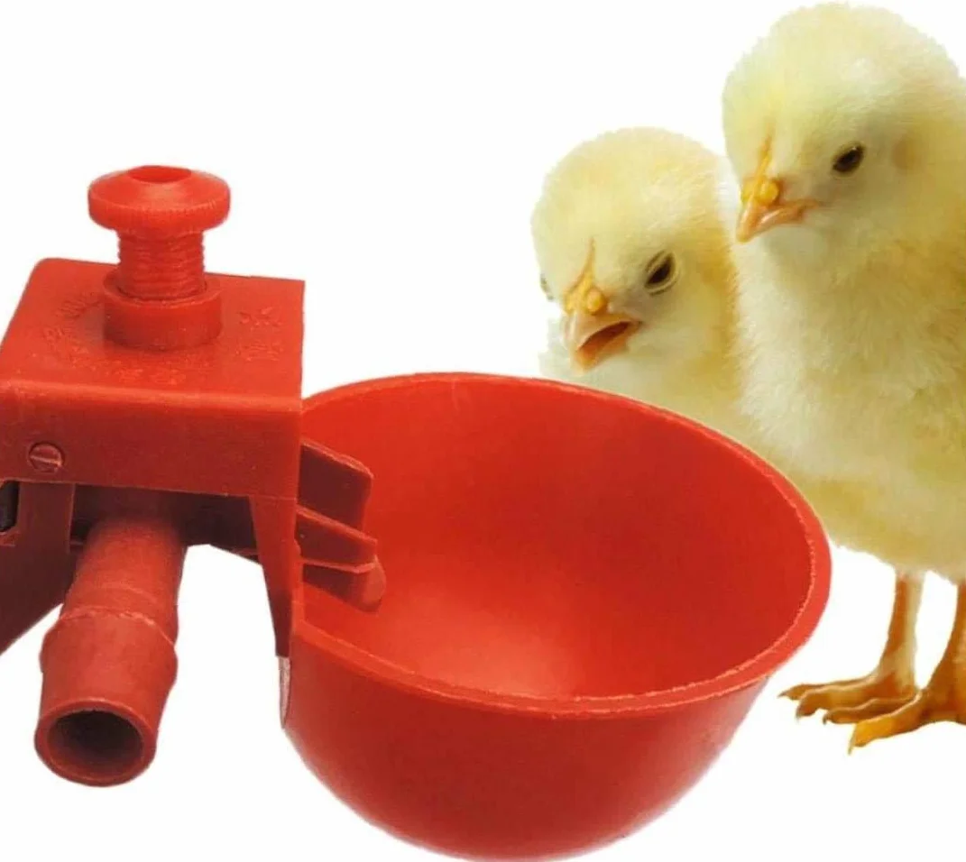 Abreuvoir pour Poulailler Poules Oiseaux 10set