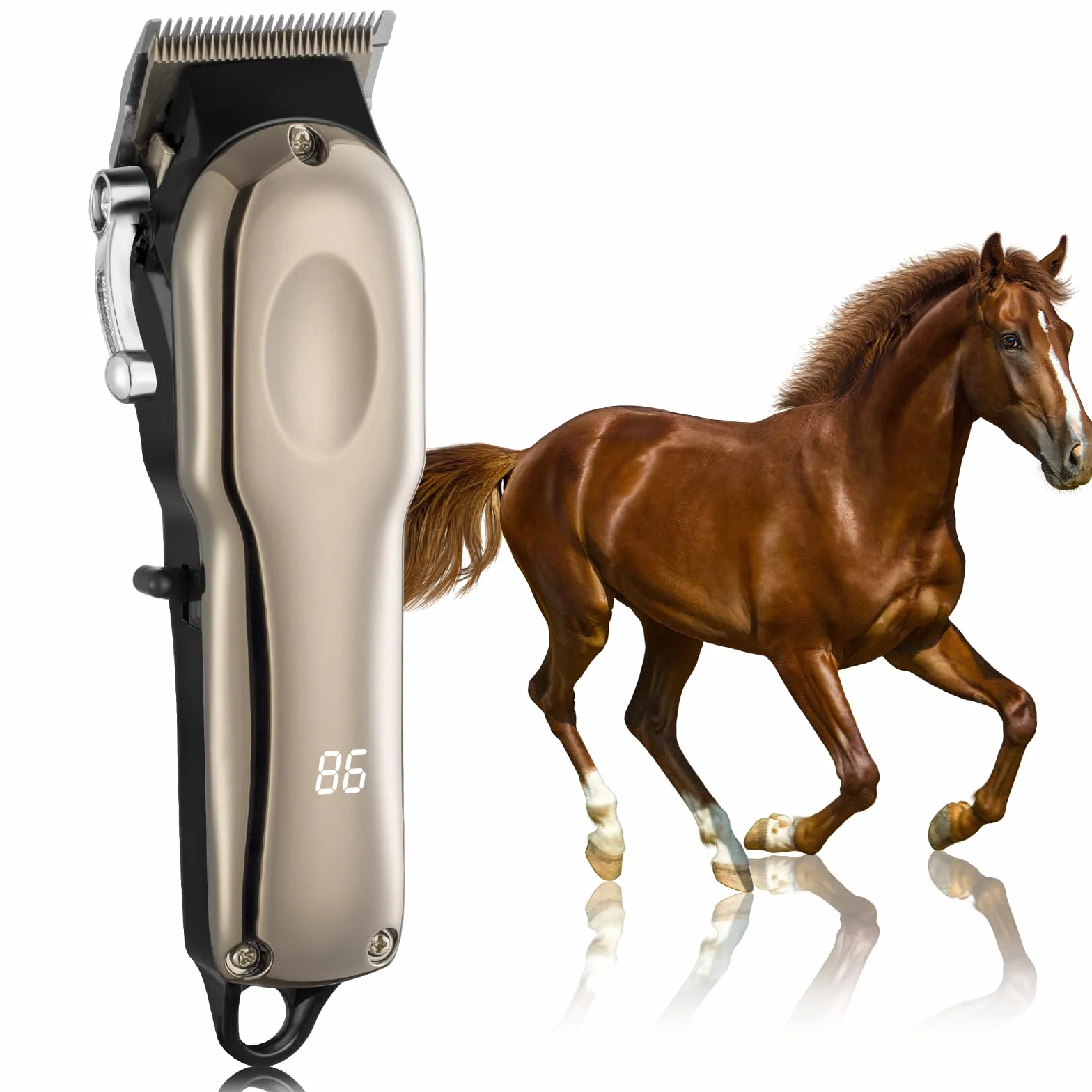 Tondeuse Sans Fil Professionnelle pour Chevaux - Électrique Rechargeable Toilettage Silencieuse - Tondeuse Animaux Poil Long - 4 Guides Inclus