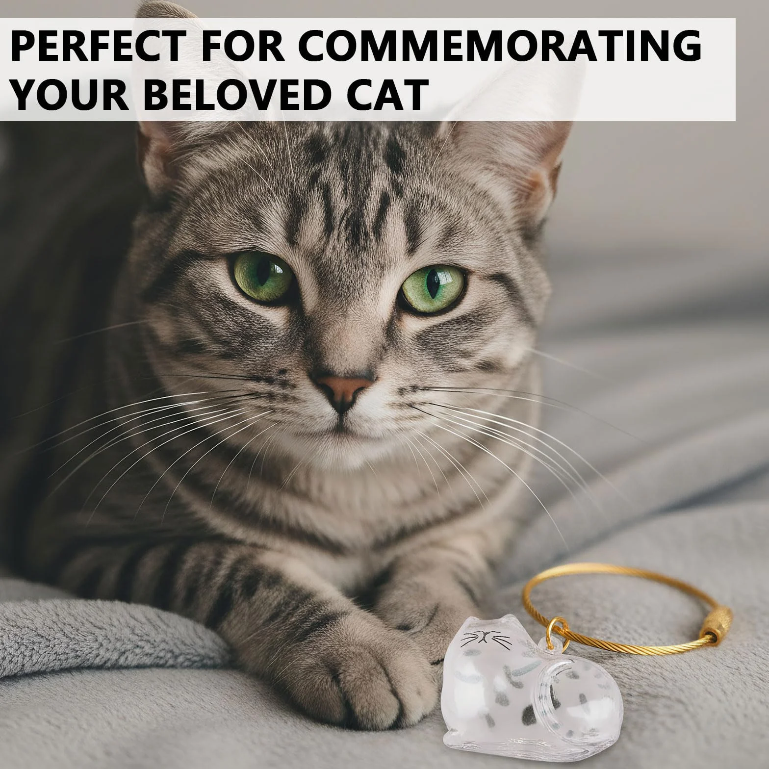 Lot de 6 Porte-Clés en Poils de Chat, Capsules Commémoratives en Acrylique Transparent, Boîte de Rangement pour Poils d’animaux, Idée Cadeau DIY pour Amoureux des Animaux