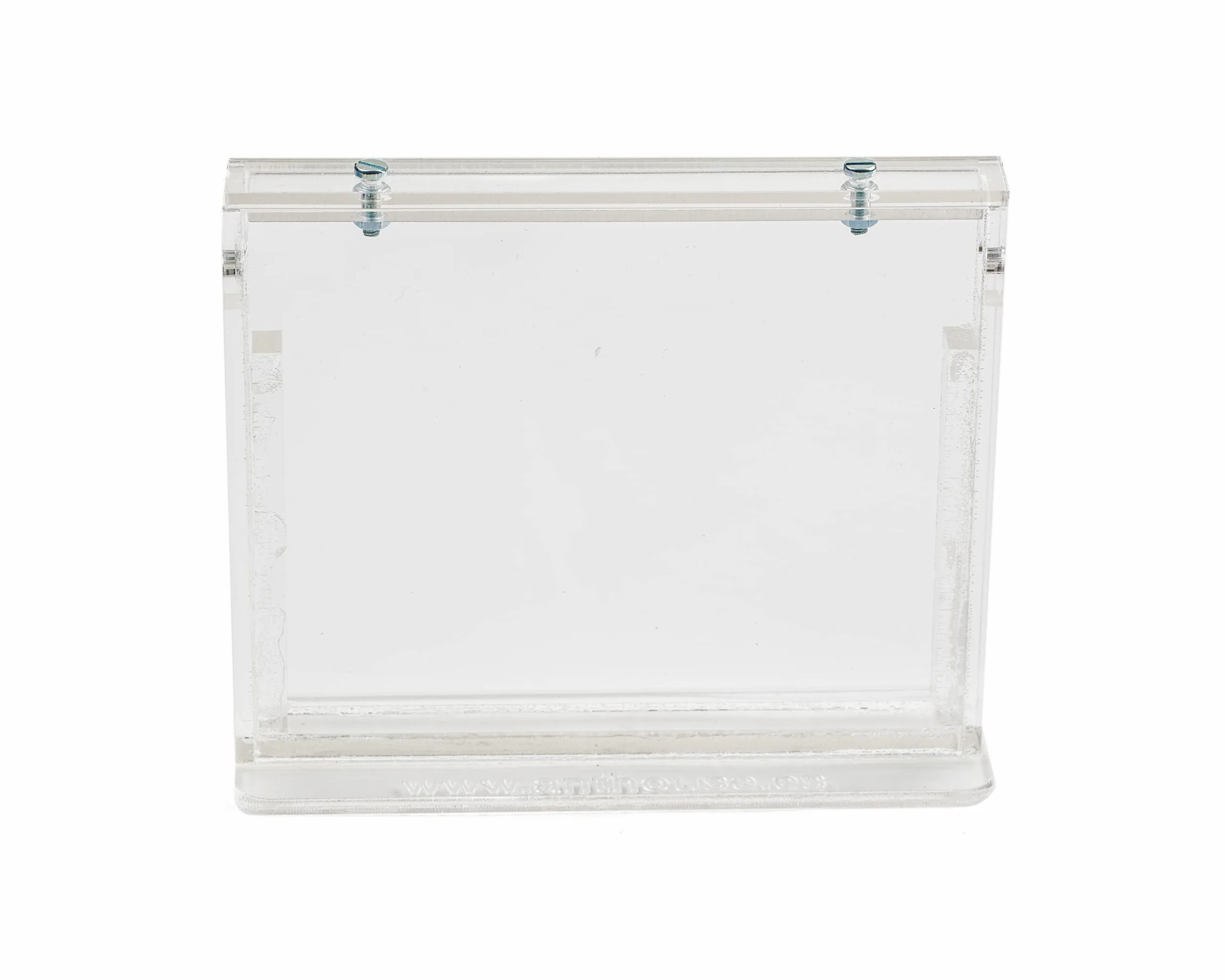 Fourmilière Naturelle en Sable Kit Basic avec Fourmis Incluses