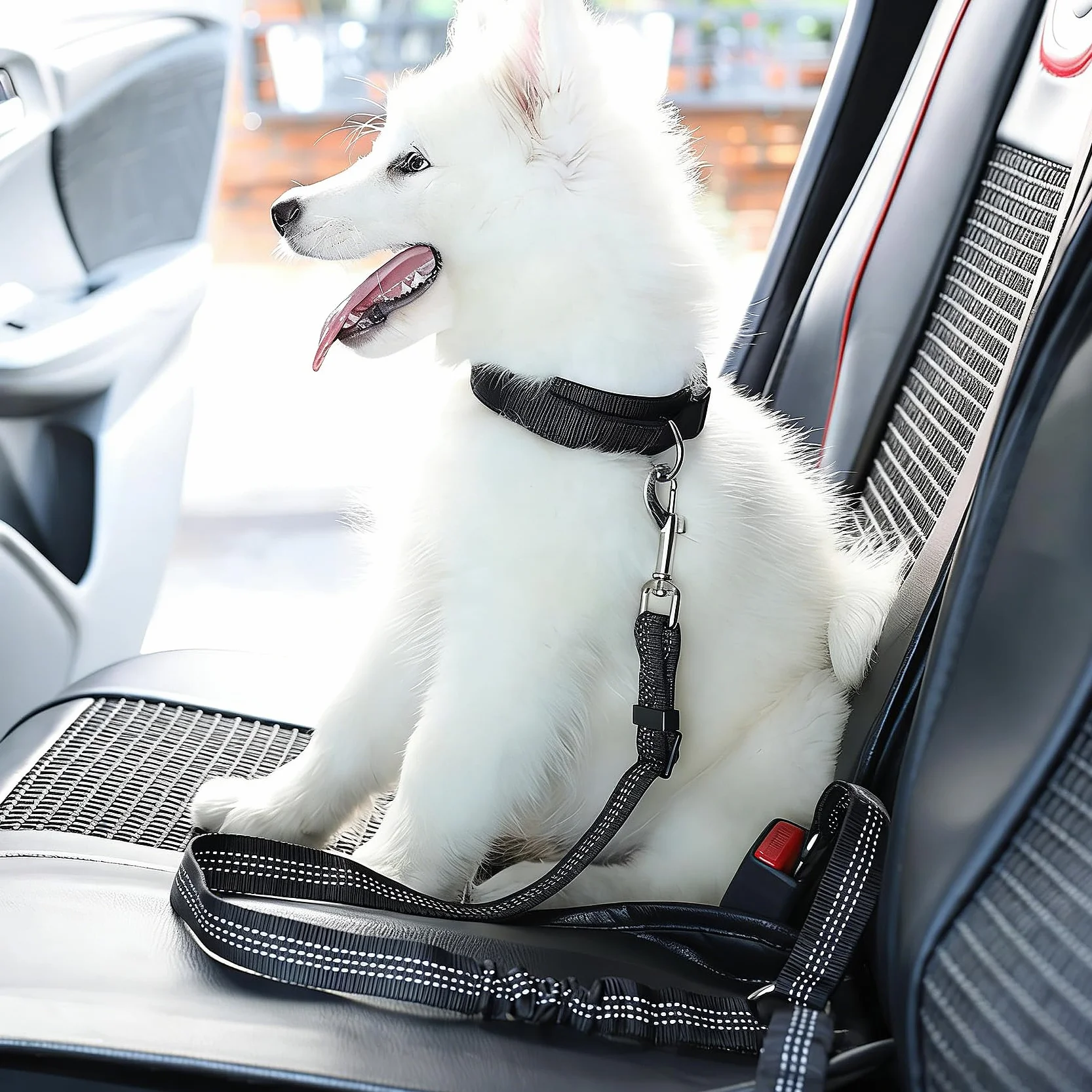 2pcs Ceinture de Sécurité pour Chien,Harnais Universel avec Mousqueton,Absorption des Chocs,Réglable,Noir,pour Tous Les Chiens et Chats