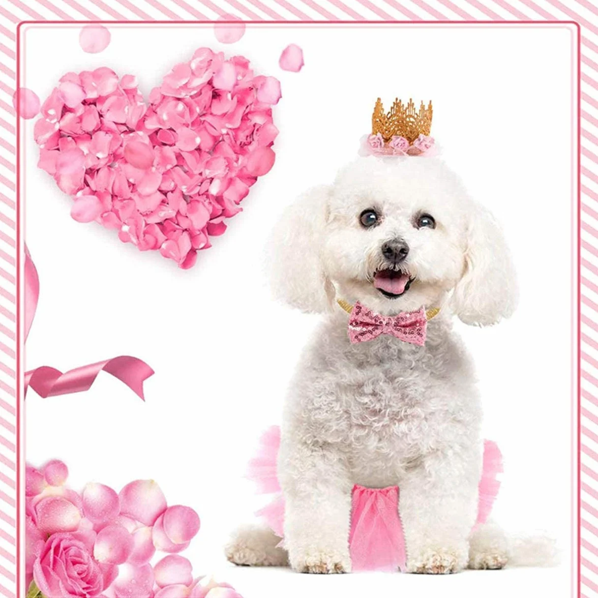 Costume de Chien 3 Pièces Rose Jupe Tutu Couronne Chapeau Paillette Noeud Papillon pour Petits Chiens et Chats