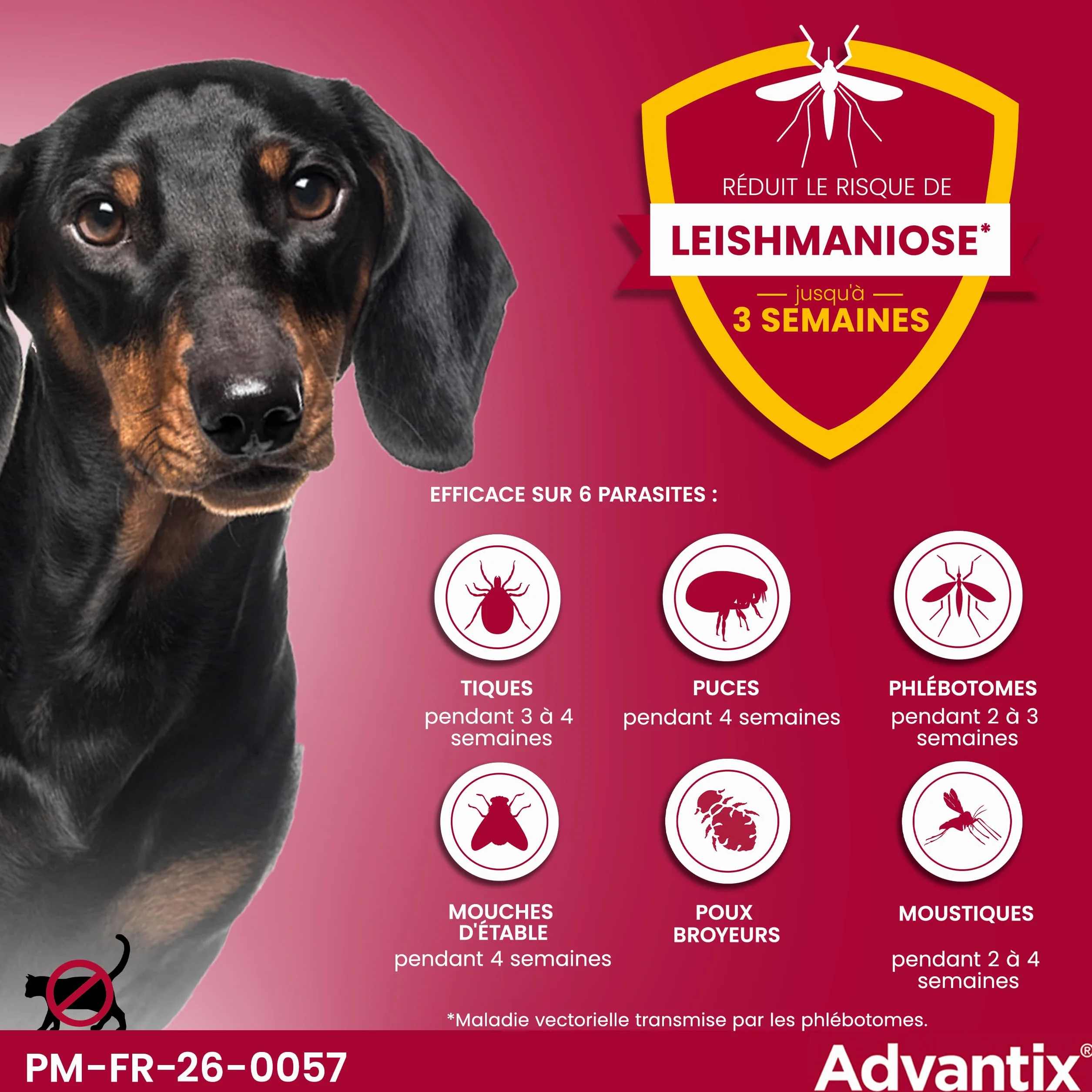 Advantix Petit Chien 4-10 kg Pipettes anti-parasites 6 parasites Protection 4 semaines 4 x 1,0 ml