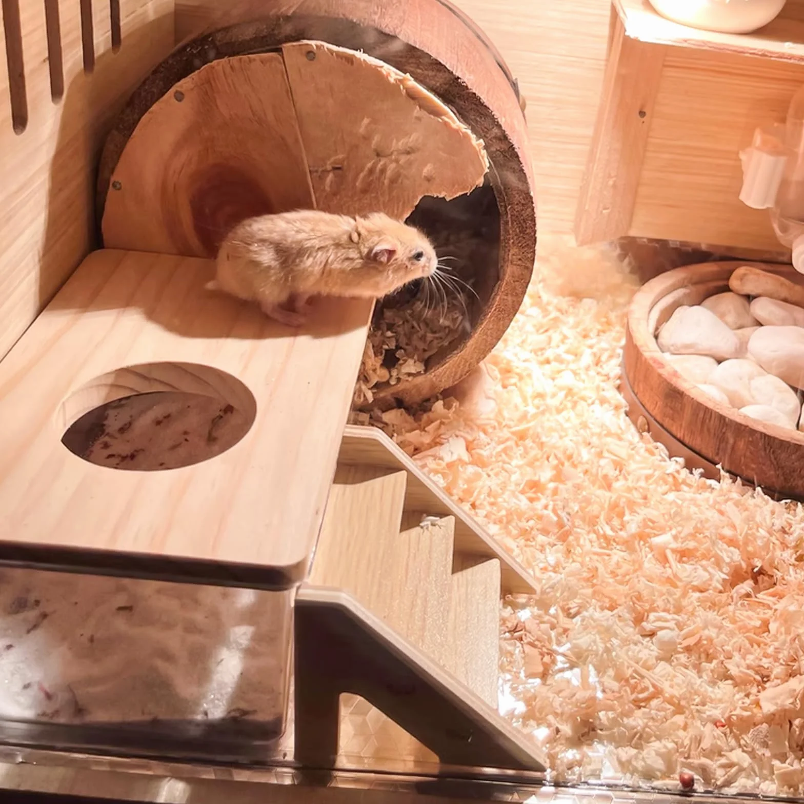 Hamster Salle de bain de sable transparent avec échelle et pelle, carré