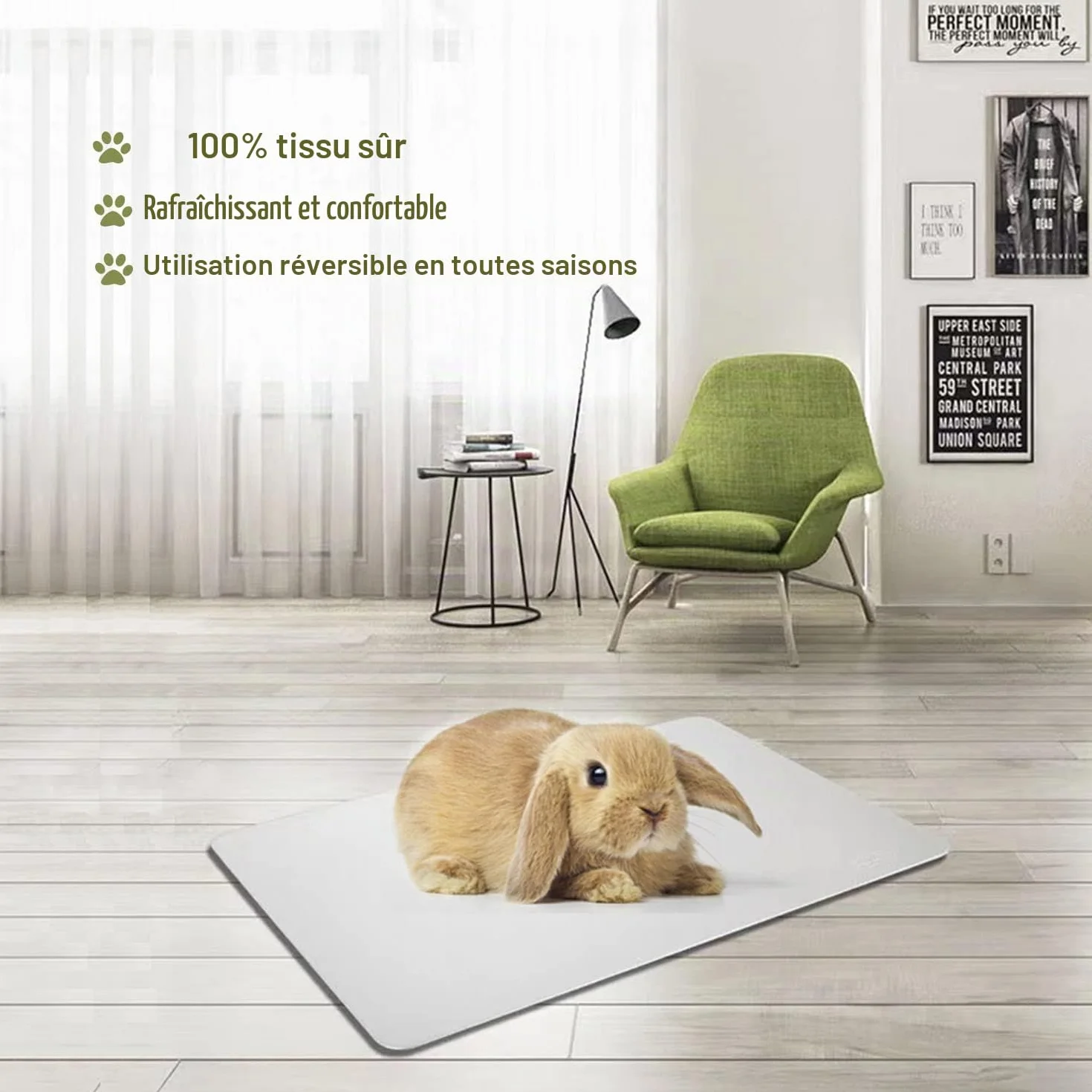 Coussin de Refroidissement pour Lapin 30x20cm Tapis de Refroidissement pour Petits Animaux Restent Cool Assiette Cool Lapin