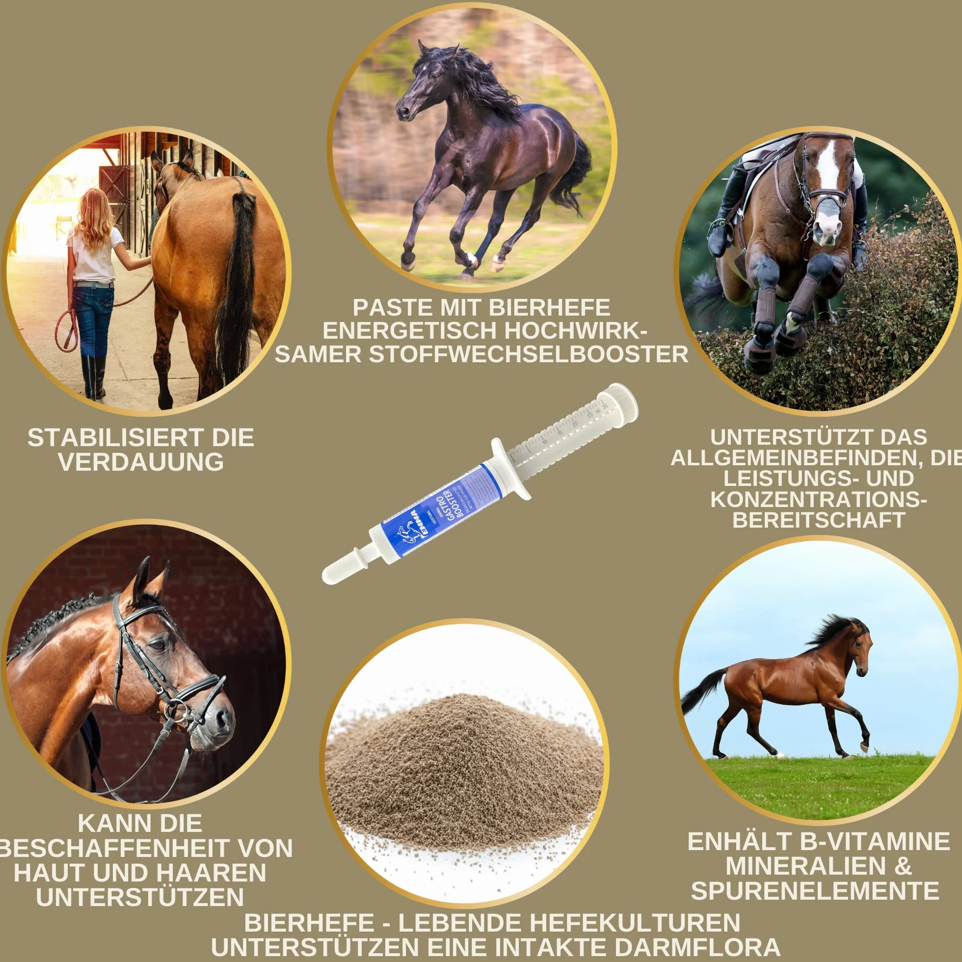 Pâte Gastro-intestinale Probiotiques Levure de bière Cheval Vitamine E Flore intestinale 30ml