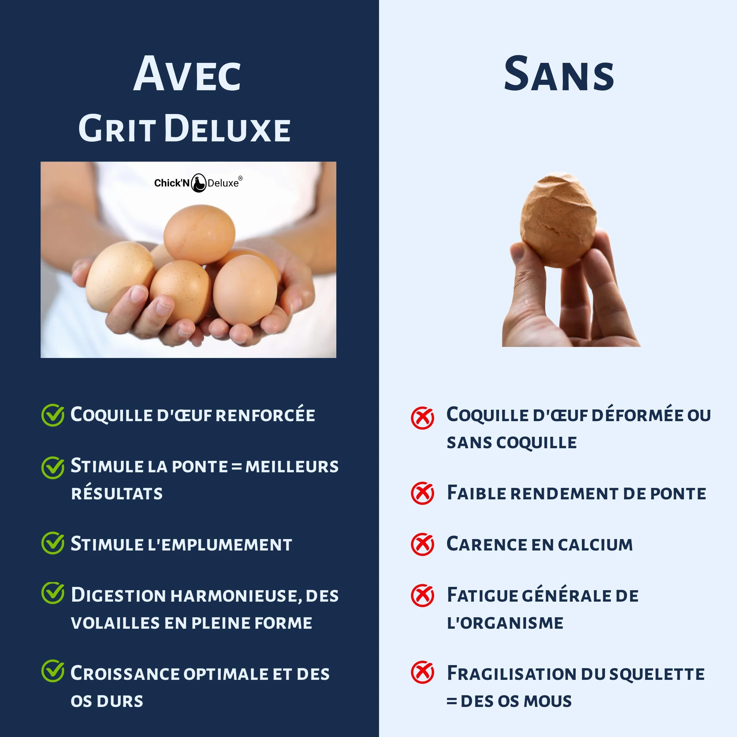 Chick'N Deluxe® Grit Deluxe 5kg Complément Alimentaire Pigeons Volailles Minéraux Charbon Actif Anis Digestion Coquille d'oeuf