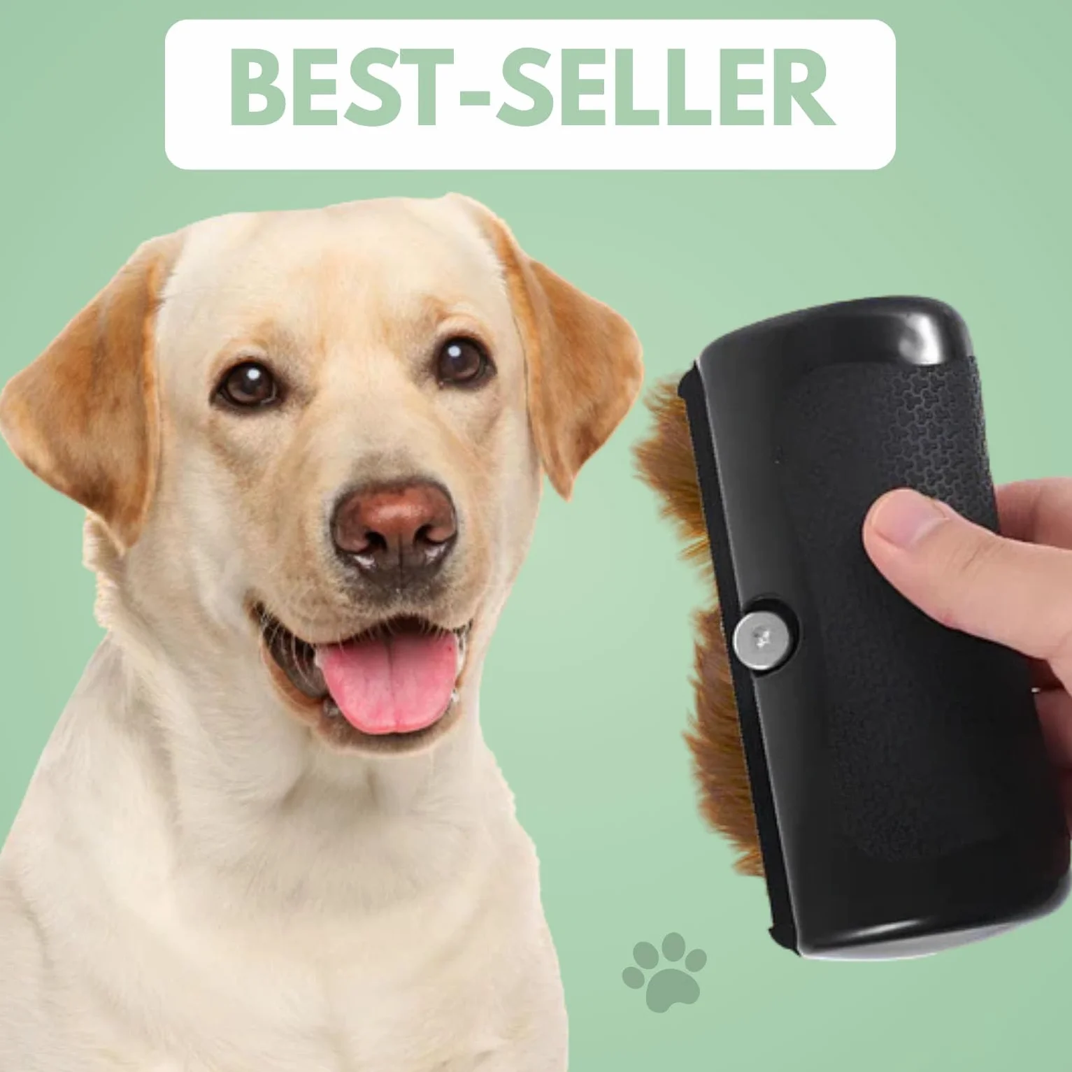 Brosse Chien Anti-Tomenteuse Élimine Sous-Poil Tangles pour Chiens Chats Poils Courts et Longs