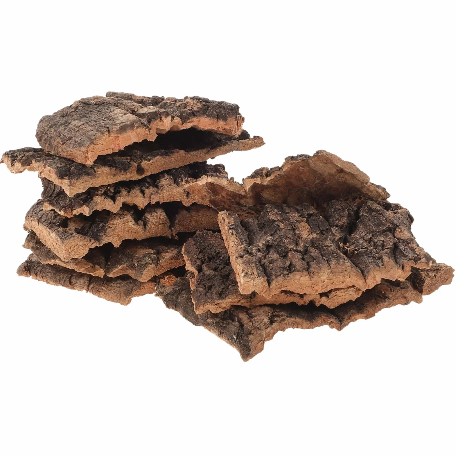 Lot de 10 Plateformes en Écorce de Bois pour Reptiles Lézards Tortues Décor Naturel Terrarium