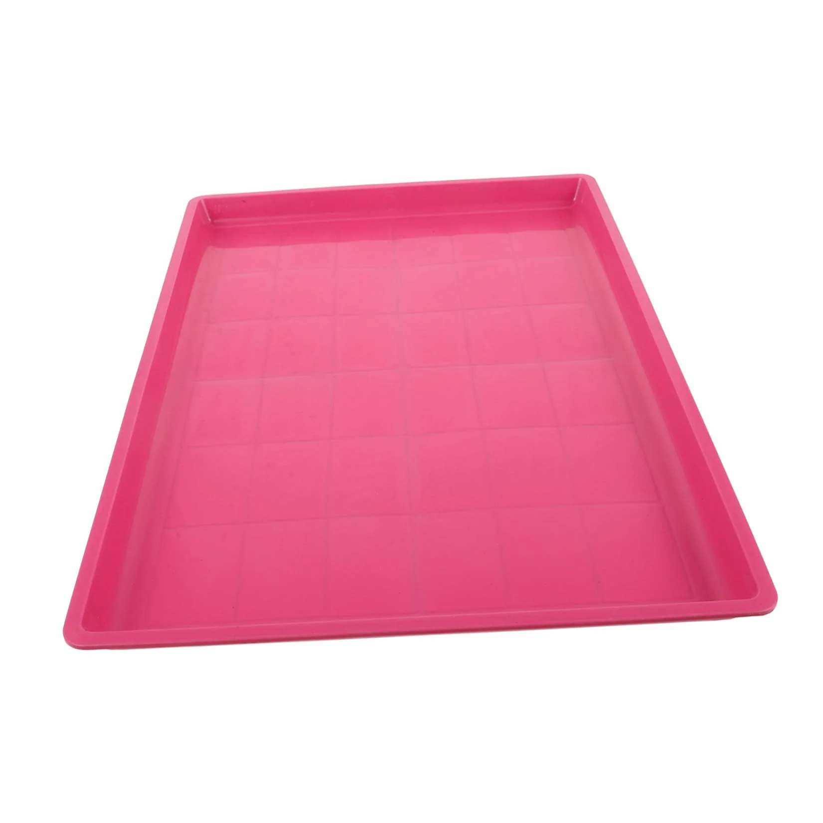 Bac de Fond de Cage en Plastique SUPVOX pour Cochons d'Inde et Poussins