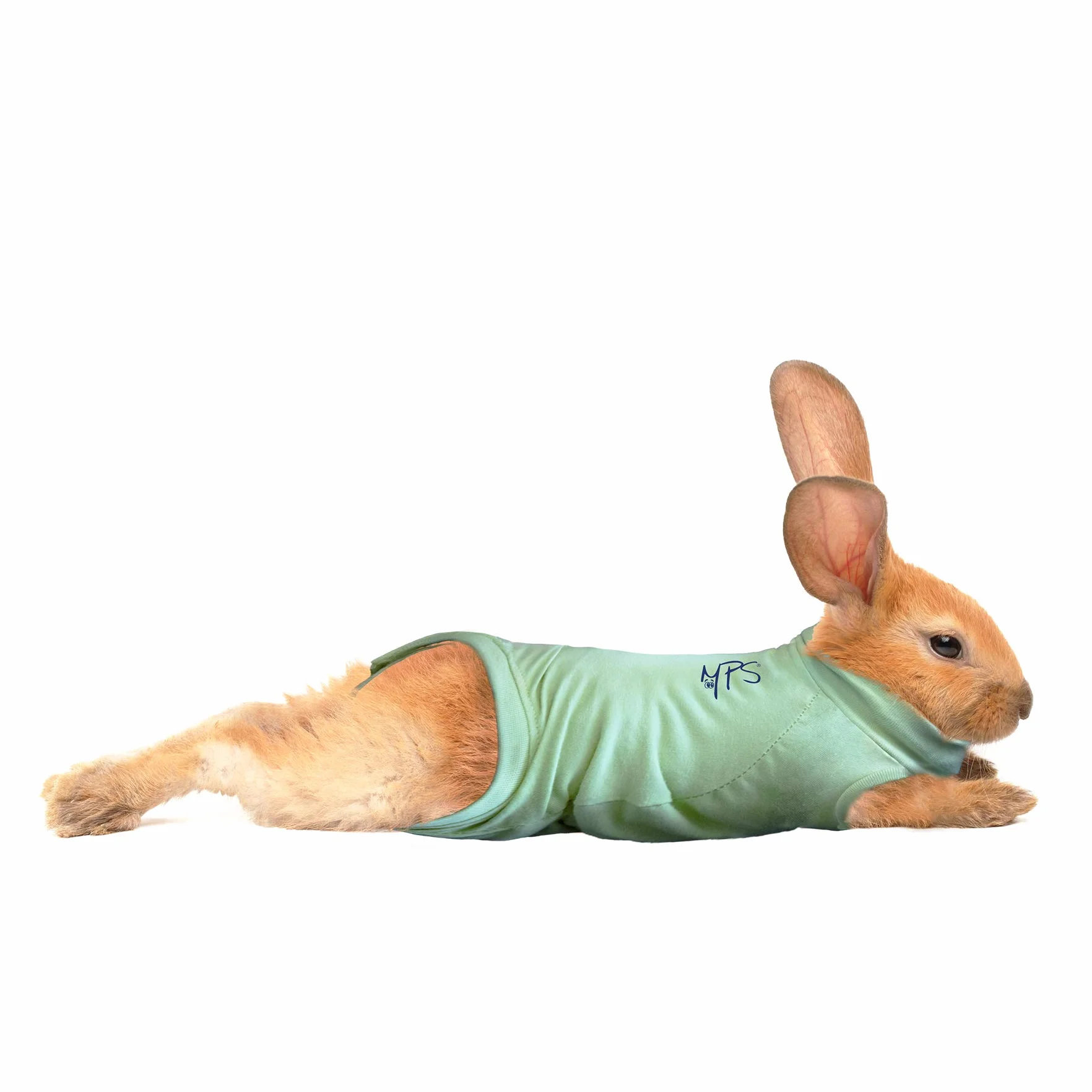 MPS Medical Pet Shirt pour Lapin, Vert, XS