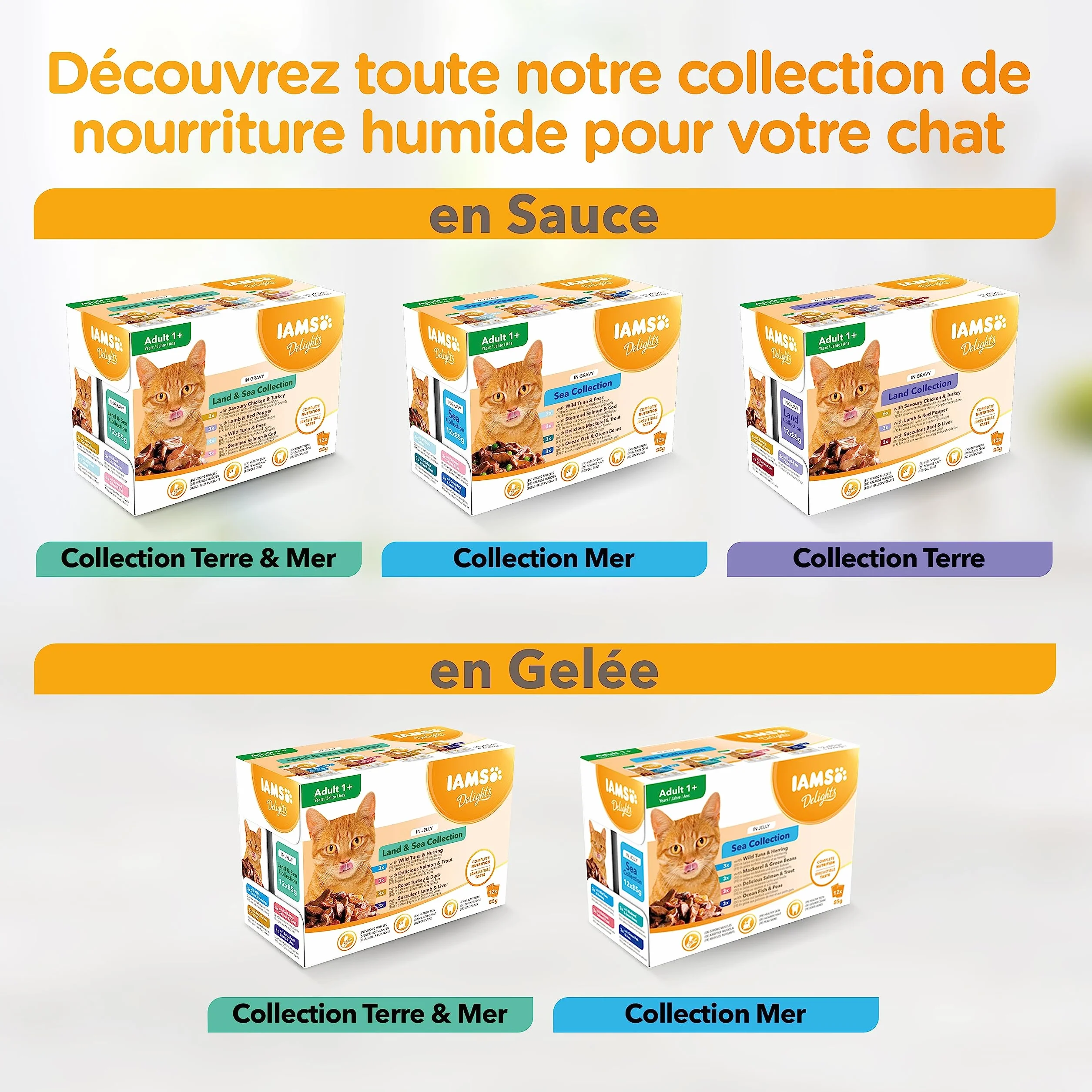 IAMS Chat Adulte Nourriture Humide Gelée Terre&Mer Land&Sea Collection 12x85g