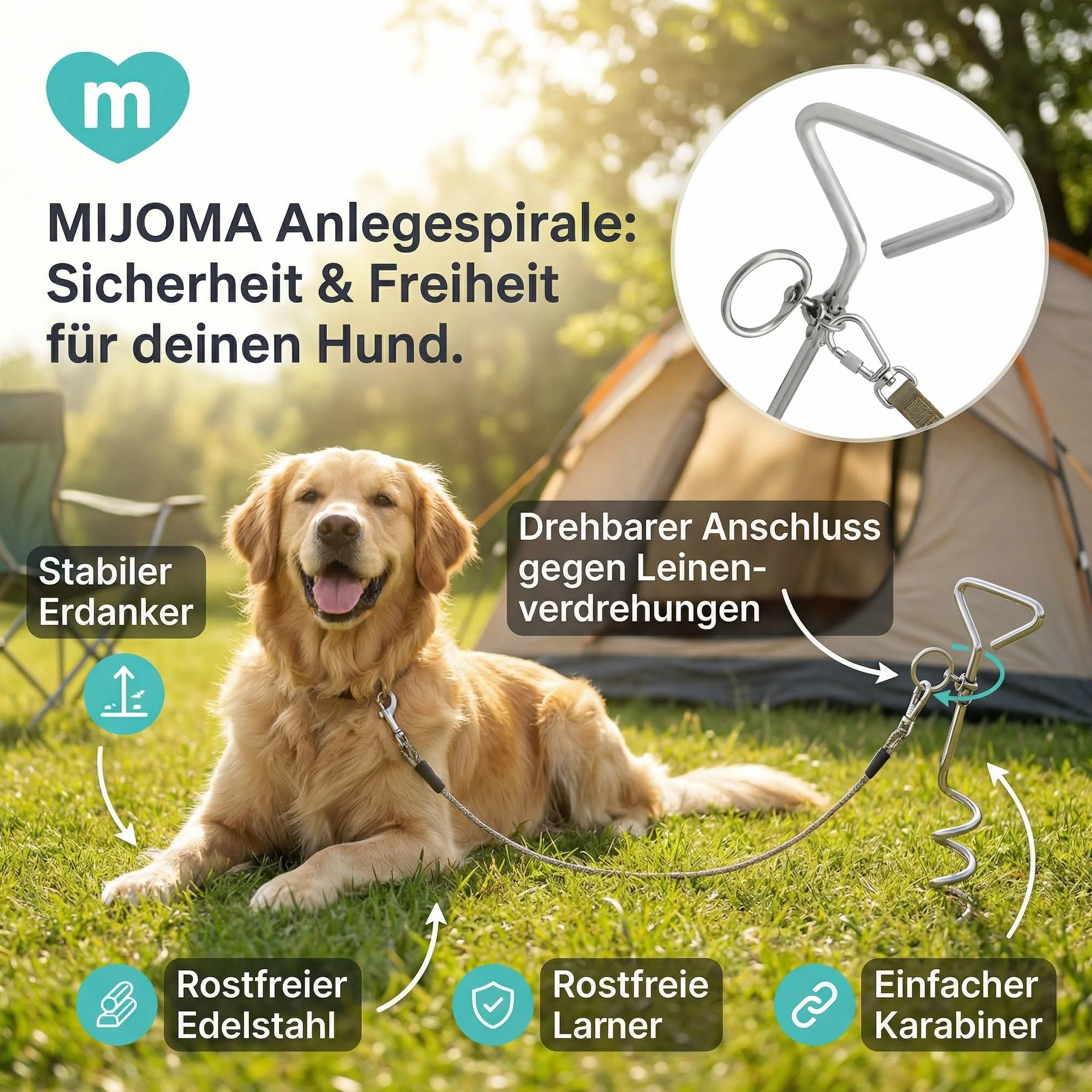 MIJOMA Spirale d'insertion pour chien - Ancrage rotatif avec mousqueton - Acier inoxydable - Ancrage au sol - Jardin Camping