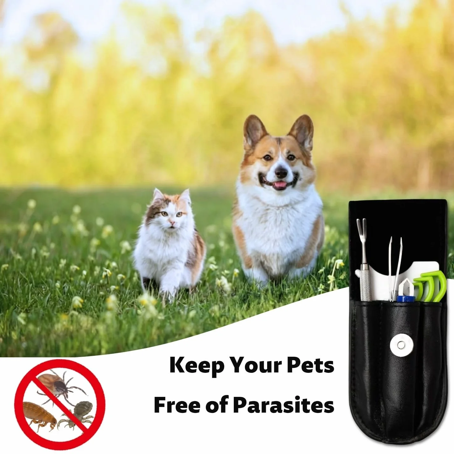 Pince à tiques kit 7 en 1 avec étui pour humains, chiens, chats