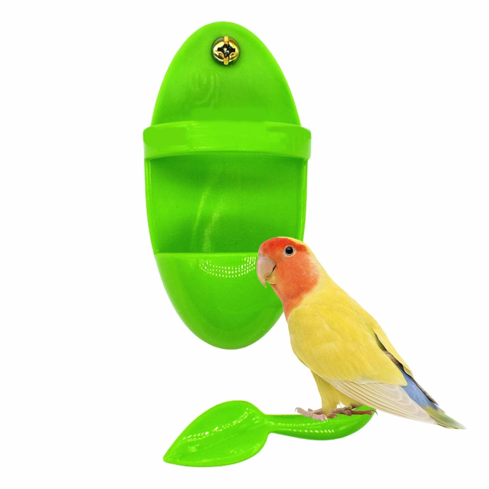 Porte-os de seiche pour Cage à Oiseaux - Support à Os de seiche pour Perroquets, Calopsittes, Perruche