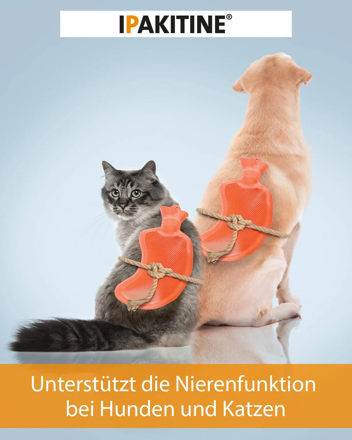 Vetoquinol Ipakitine Décontractants Pot pour Chien 300 g