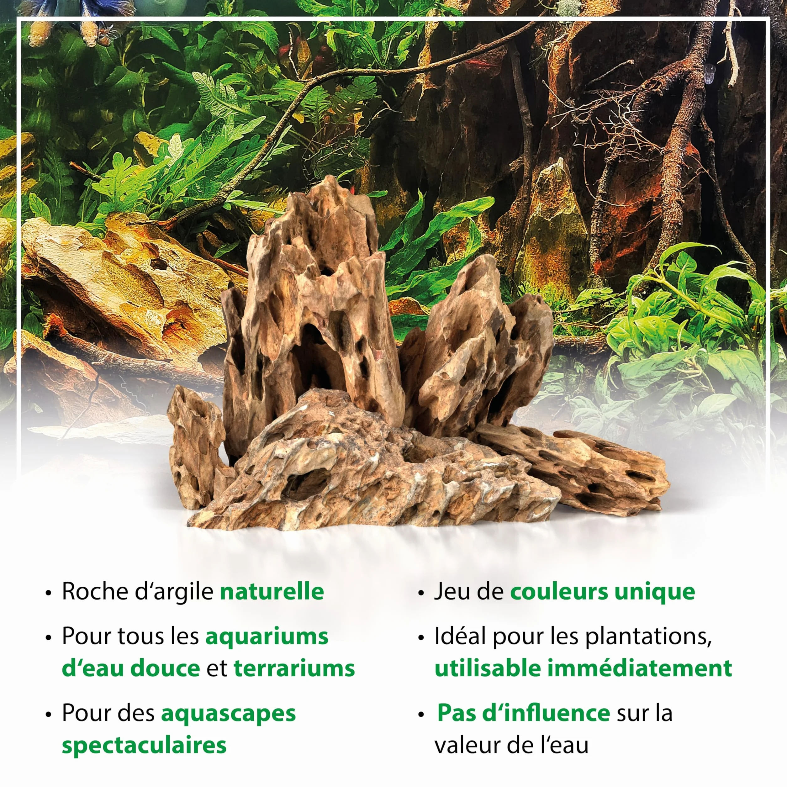 ARKA Pierres Dragon Naturelles 10 kg mySCAPE décor Aquarium aquascaping 10–30 cm pour paysages spectaculaires