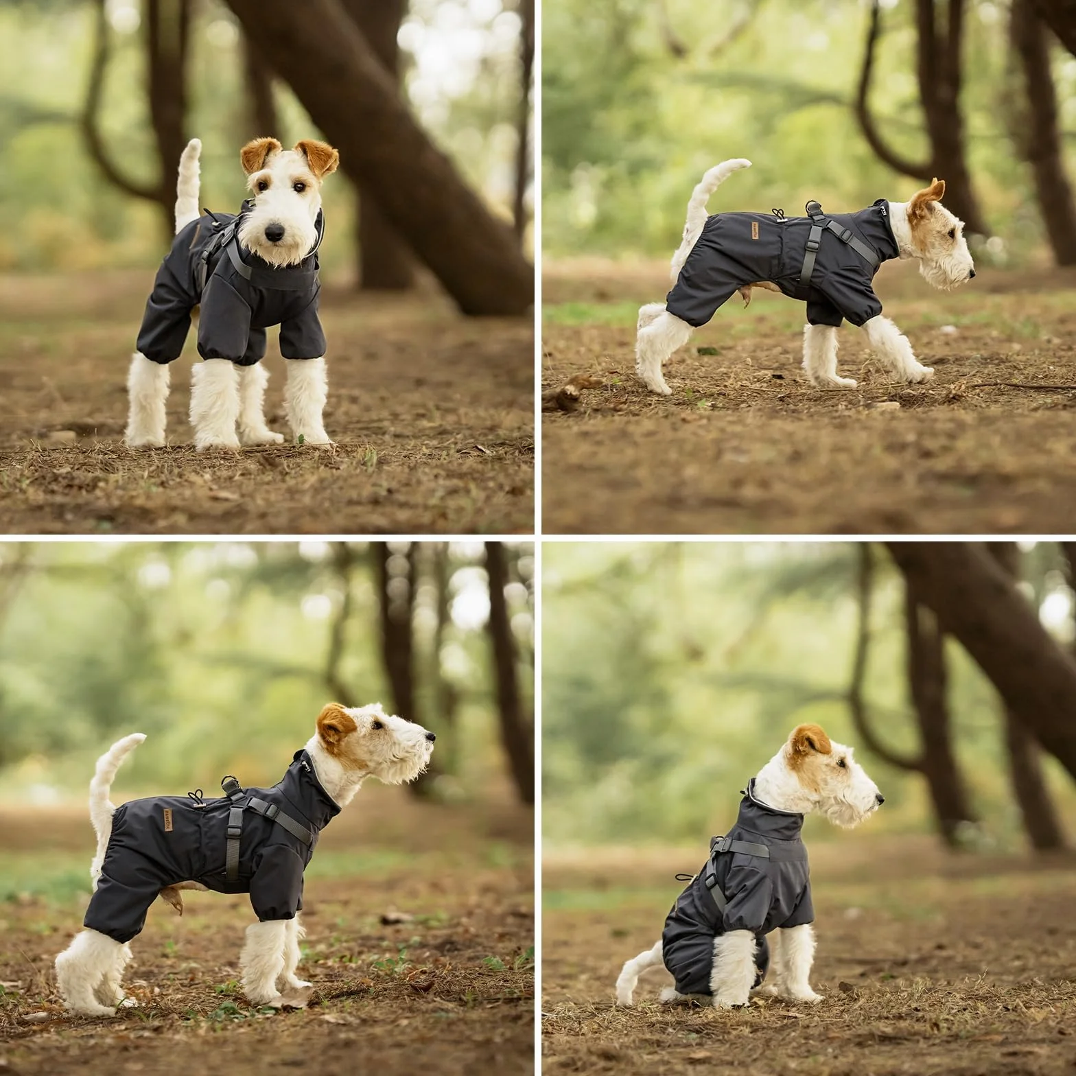 PAWBOSE Imperméable Chien Réfléchissant Harnais 4 Jambes Taille M Gris