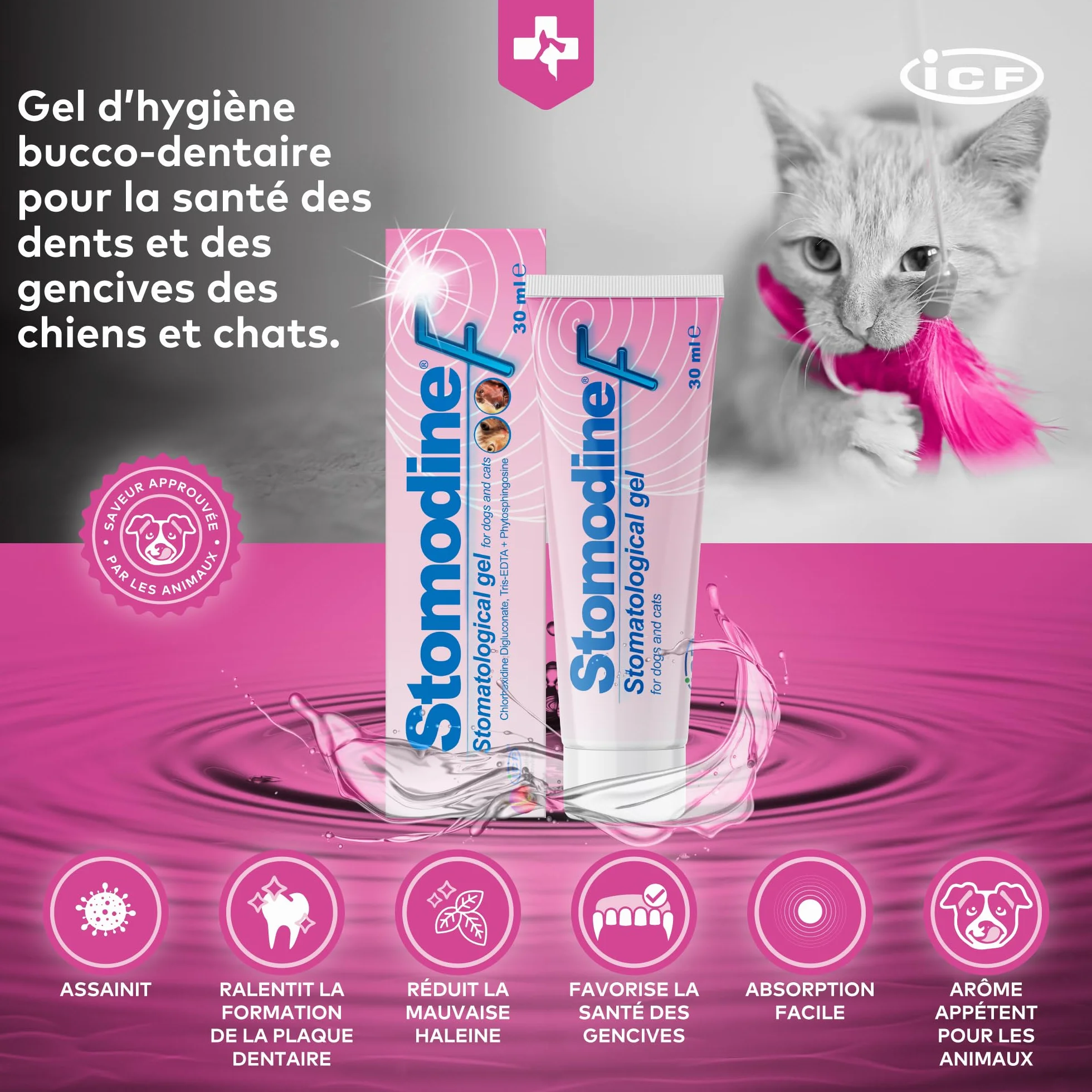 ICF Stomodine F Gel Appétent Hygiène Buccale Chiens Chats 30ml