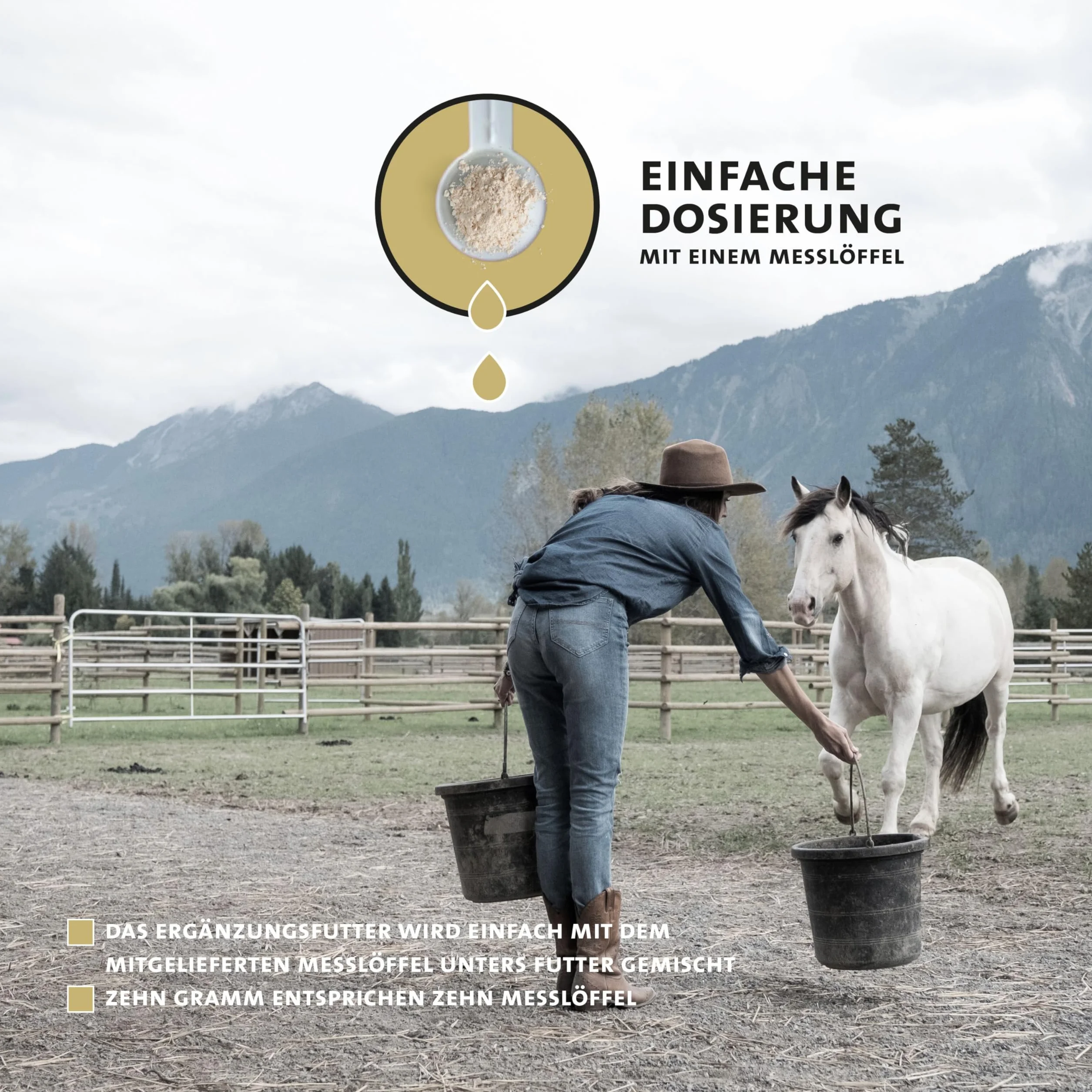 Peticare Poudre Digestive Naturelle pour Chevaux - Soutien Santé Intestinale & Immunitaire, Flore Intestinale, sans GMO