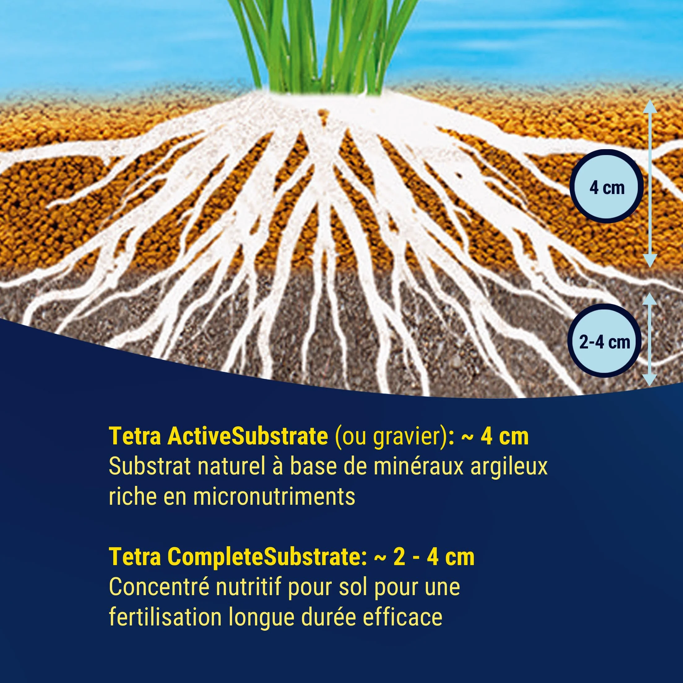 Tetra Activesubstrate 3 L