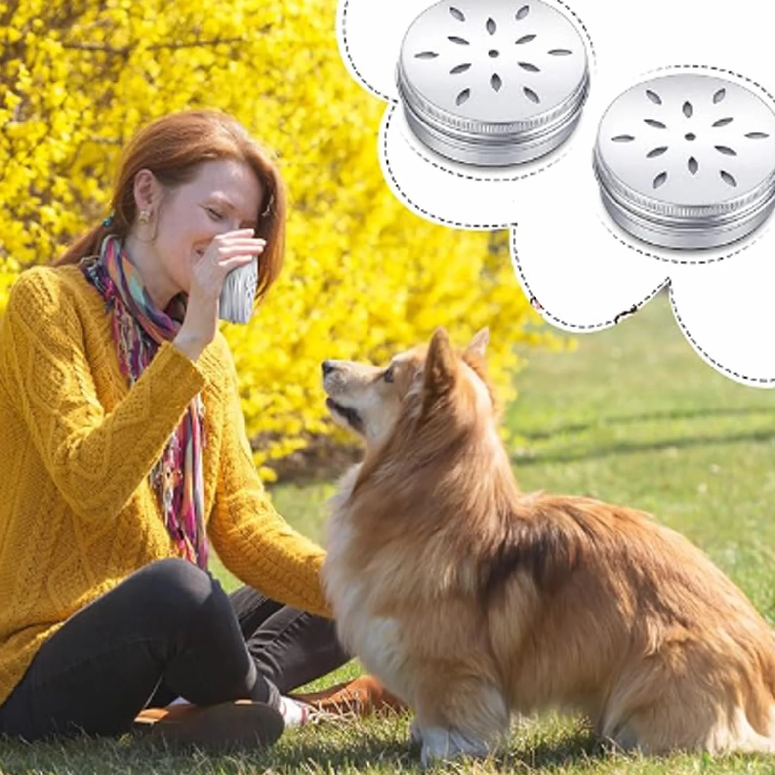 Kit d'entraînement de boîte à parfum pour chien creux avec autocollants magnétiques, récipient en métal nez animal 10 points magnétiques