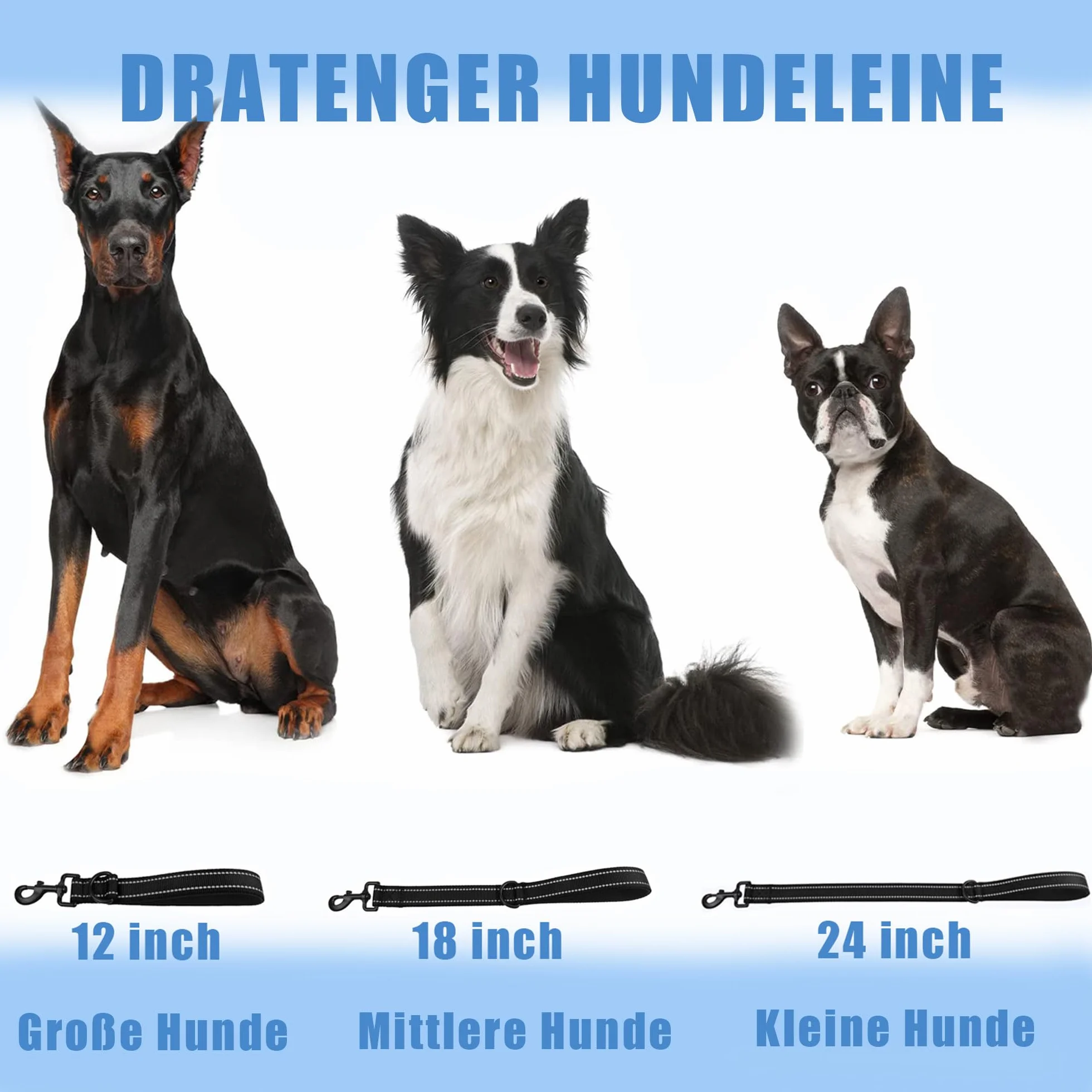 Laisse pour Chien 30 cm Nylon réfléchissante Clip métal Rembourrage Doux Orange Taille S