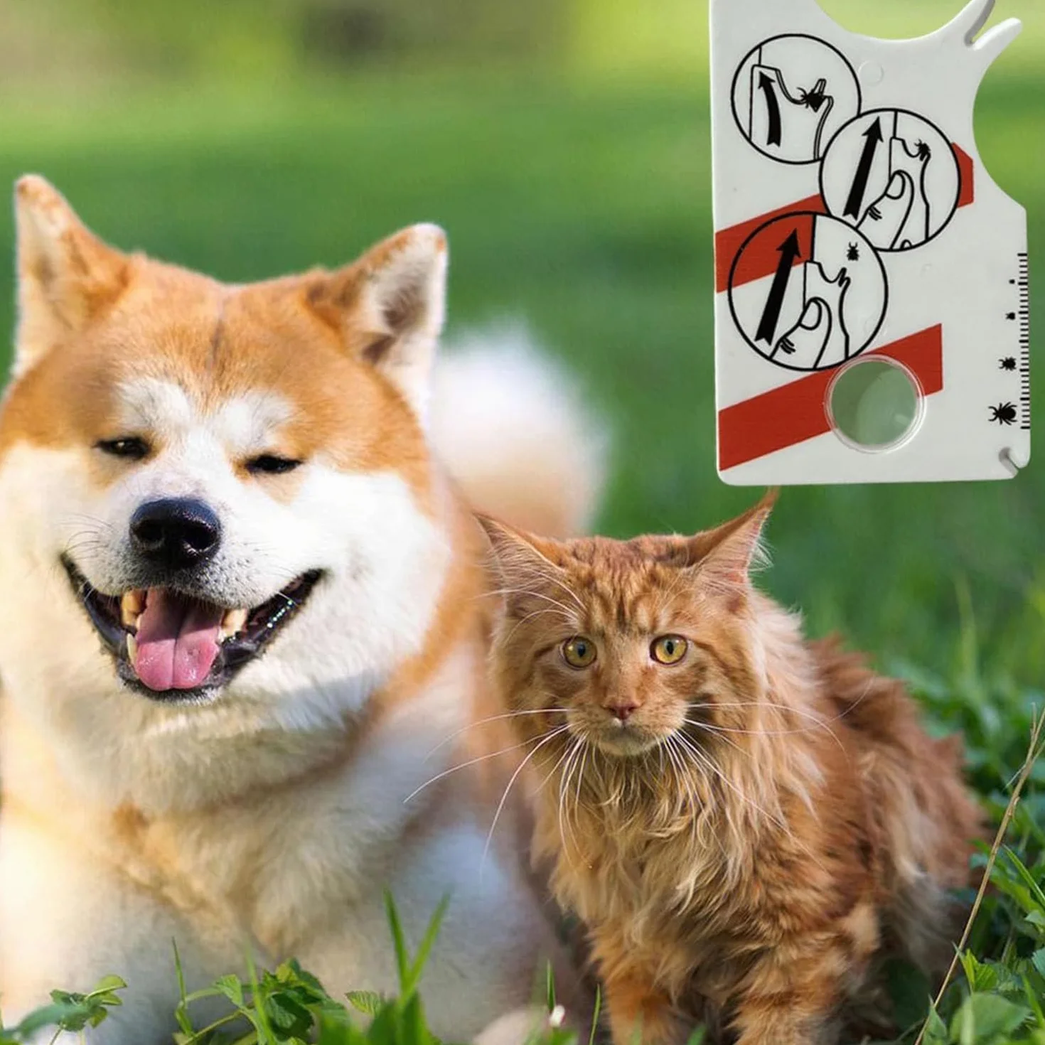 Lot de 2 cartes de retrait de tiques avec loupe, outil taille carte de crédit pour animaux et humains