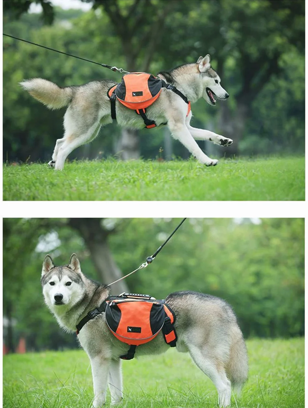Sacoche de Selle Imperméable Réglable Réfléchissante pour Chien Moyen & Grand avec Poignée Orange M (18-28kg)