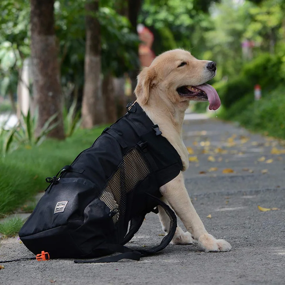 Sac à dos pour chien Woolala, approuvé par les vétérinaires, léger pour petit chien