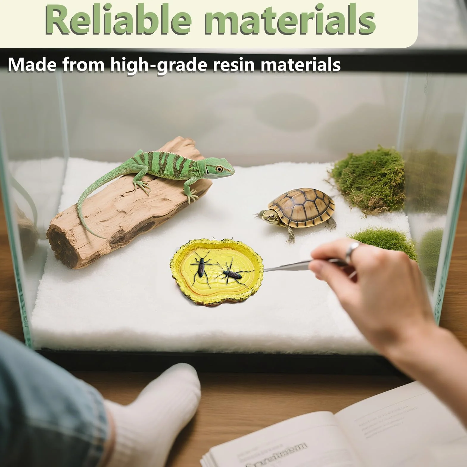 Bol d'eau Terrarium Accessoire, Gamelle Tortue Terrestre, Mangeoire Portable pour Reptiles 11x8x1cm Jaune