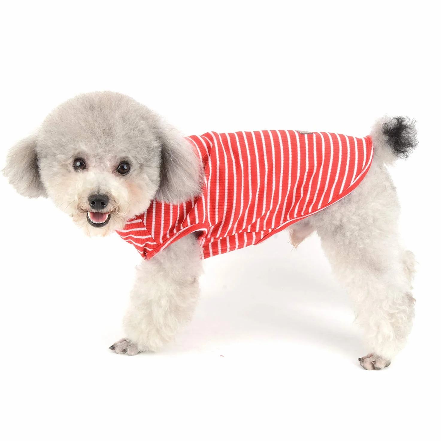 Vêtements pour Animaux domestiques