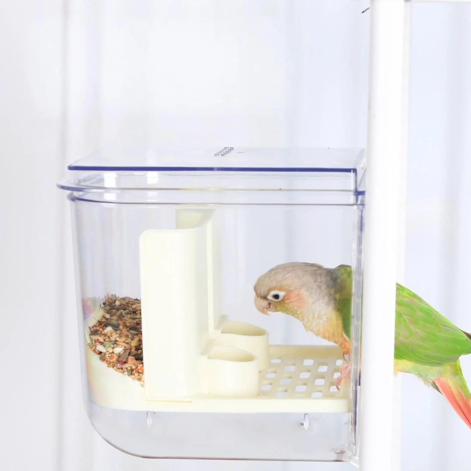 Bain d'oiseaux suspendu pour cage petite et moyenne taille perroquets inséparables pinsons perruches