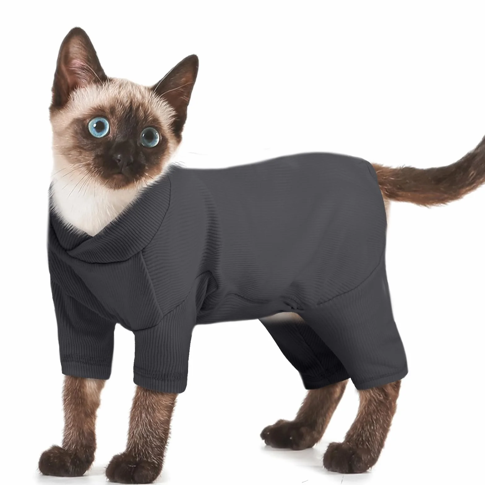 Vêtements pour Chat Pull à Manches Longues Manteau d'hiver Boby Recuperation Anti-Lécher Gris Foncé M