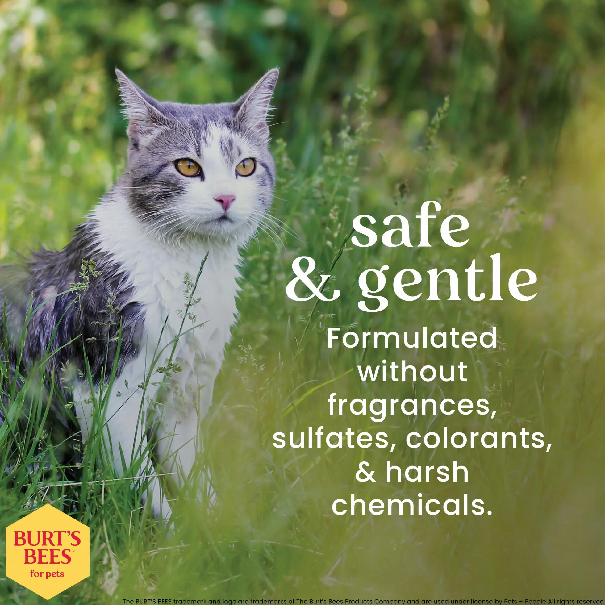 Burt's Bees Shampooing hypoallergénique pour chat Soin naturel