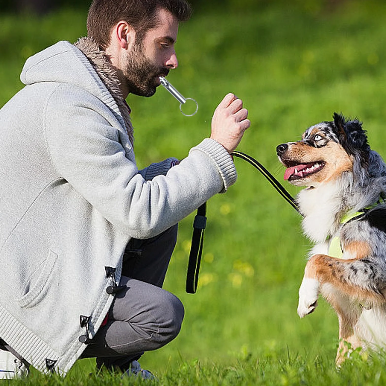 Sifflet Ultrason Chien Rappel Anti Aboiement Aluminium 6 Pièces avec Cordon